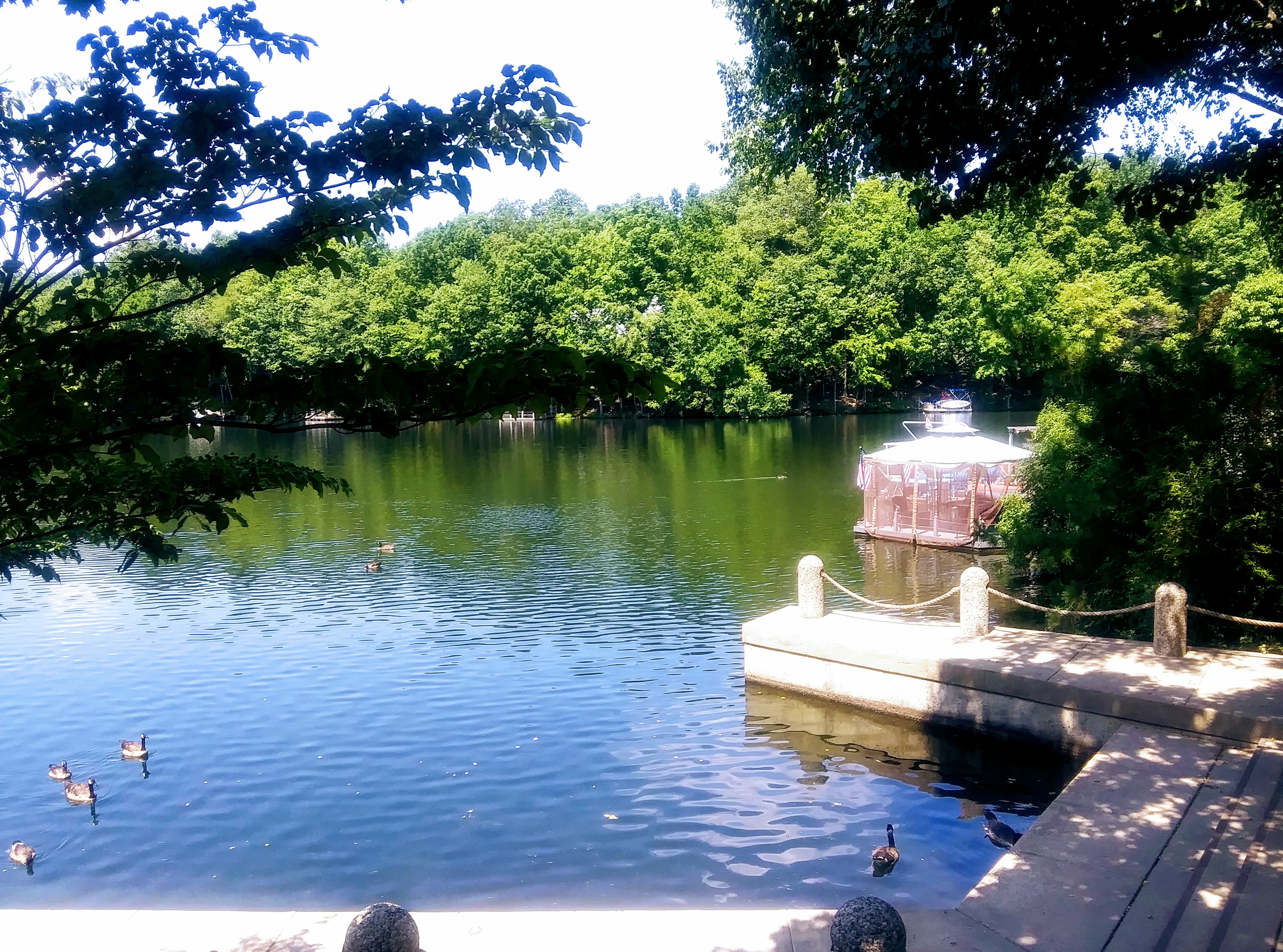 View of Lake Audubon in Reston