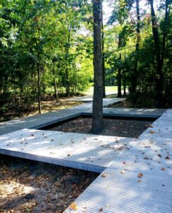 Raised Walkway in the Woods