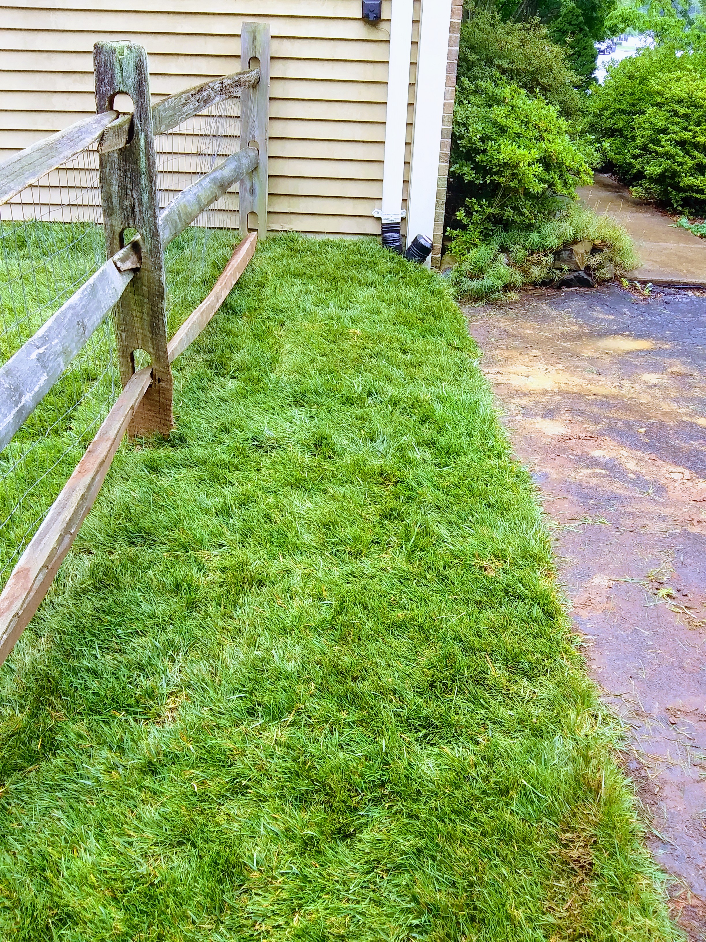 Grass in front of driveway.