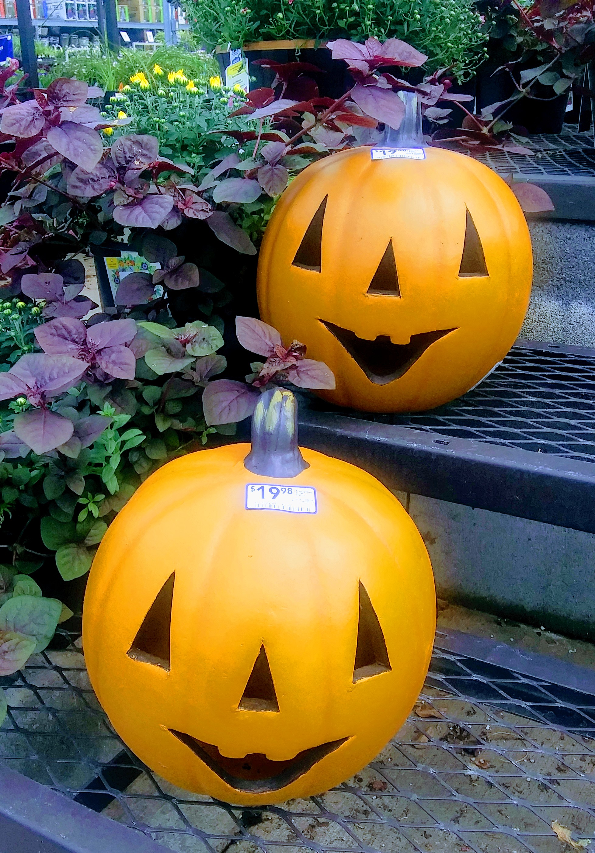 Fall Pumpkin Decorations