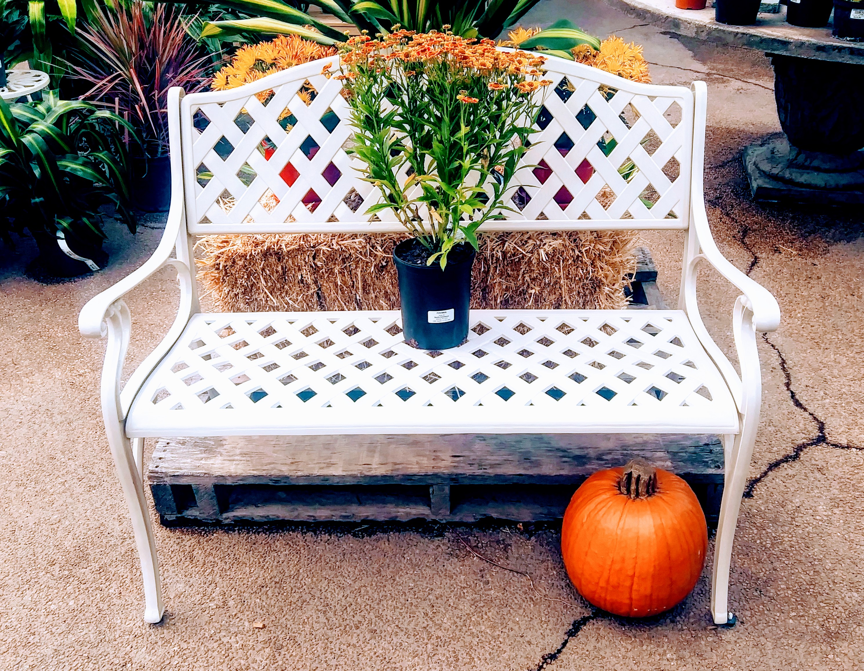 White Metal Garden Bench