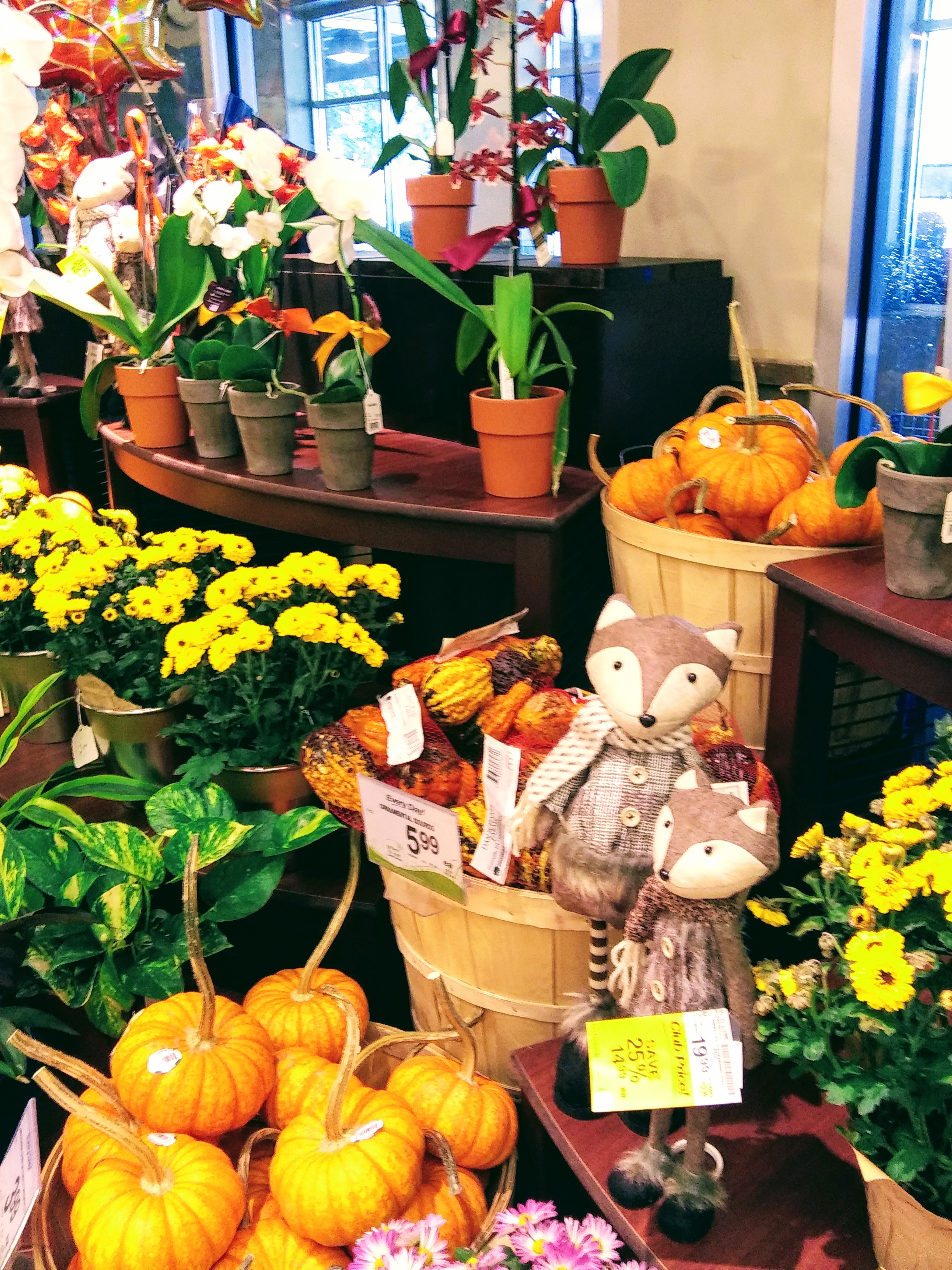 Fall Display with Flowers and Pumpkins