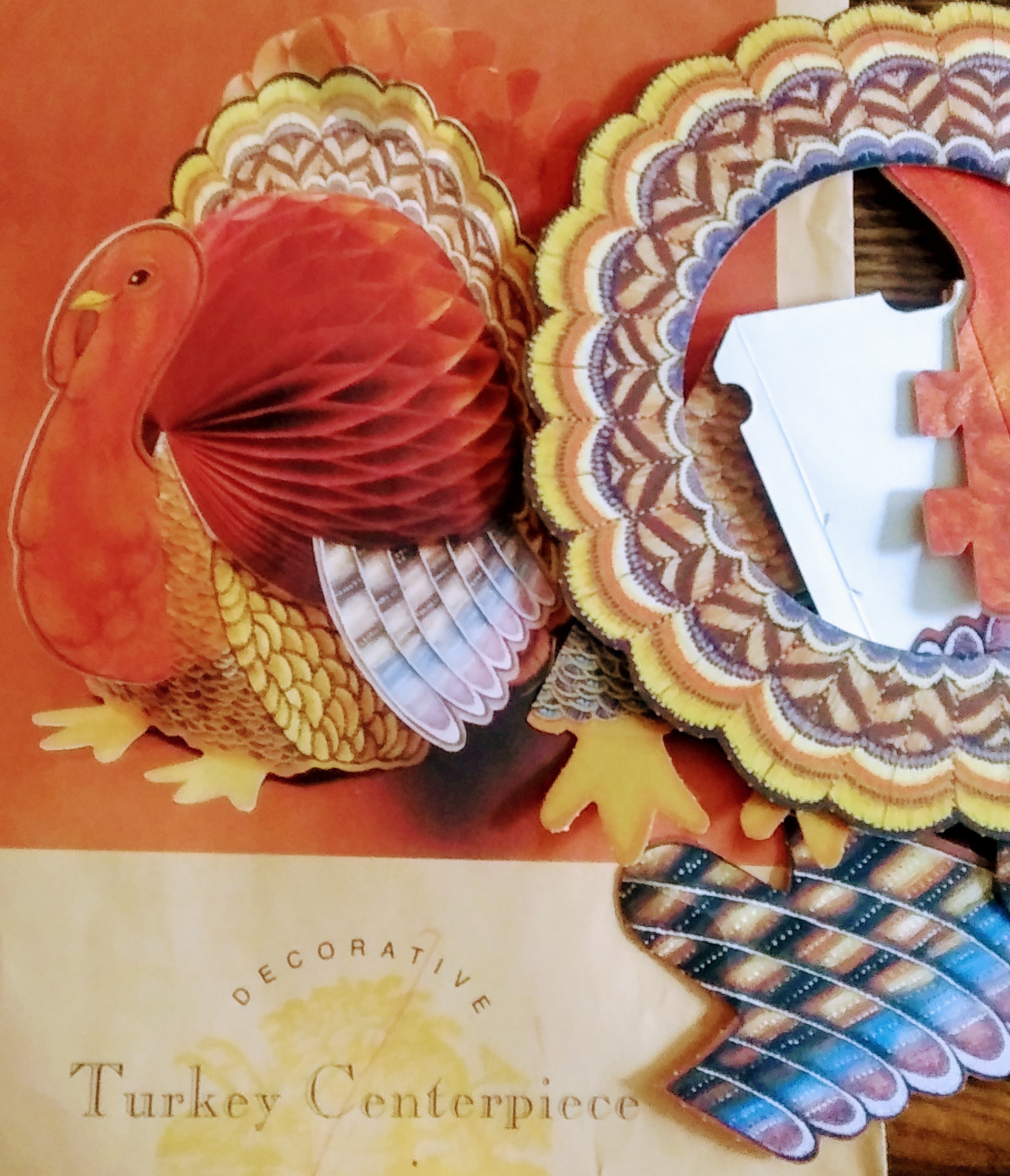 Taking Paper Turkey Pieces out of the Envelope