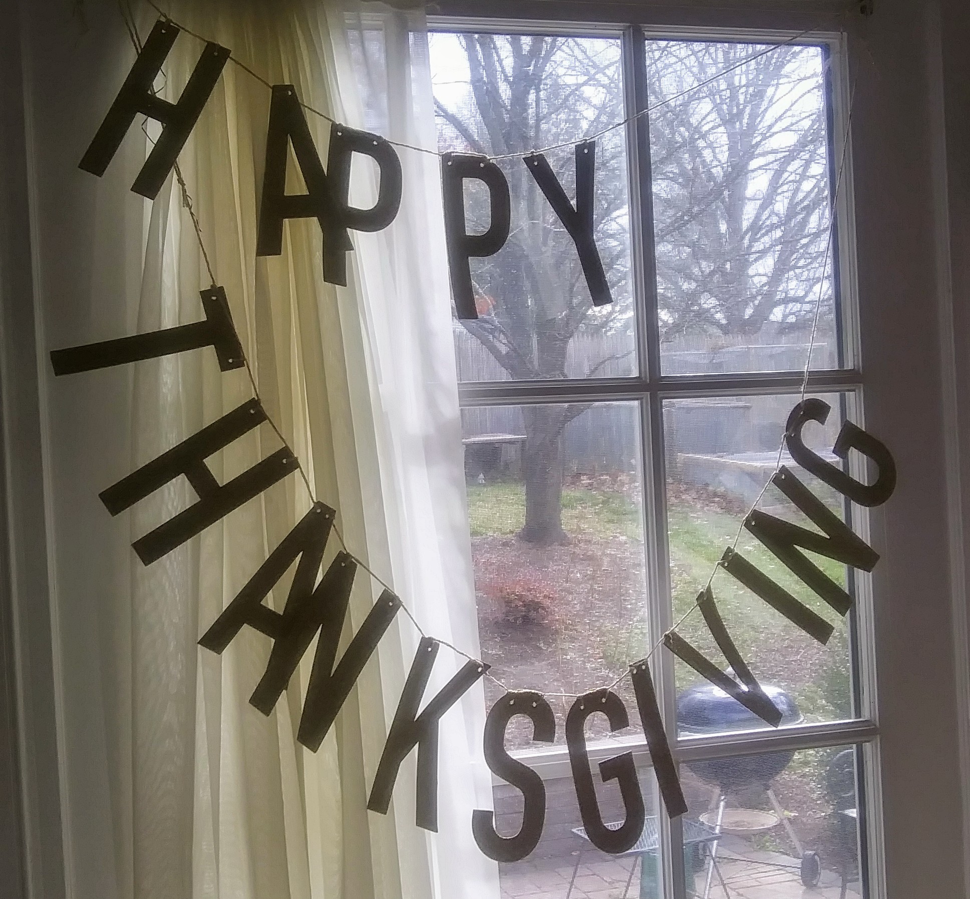 Happy Thanksgiving Banner