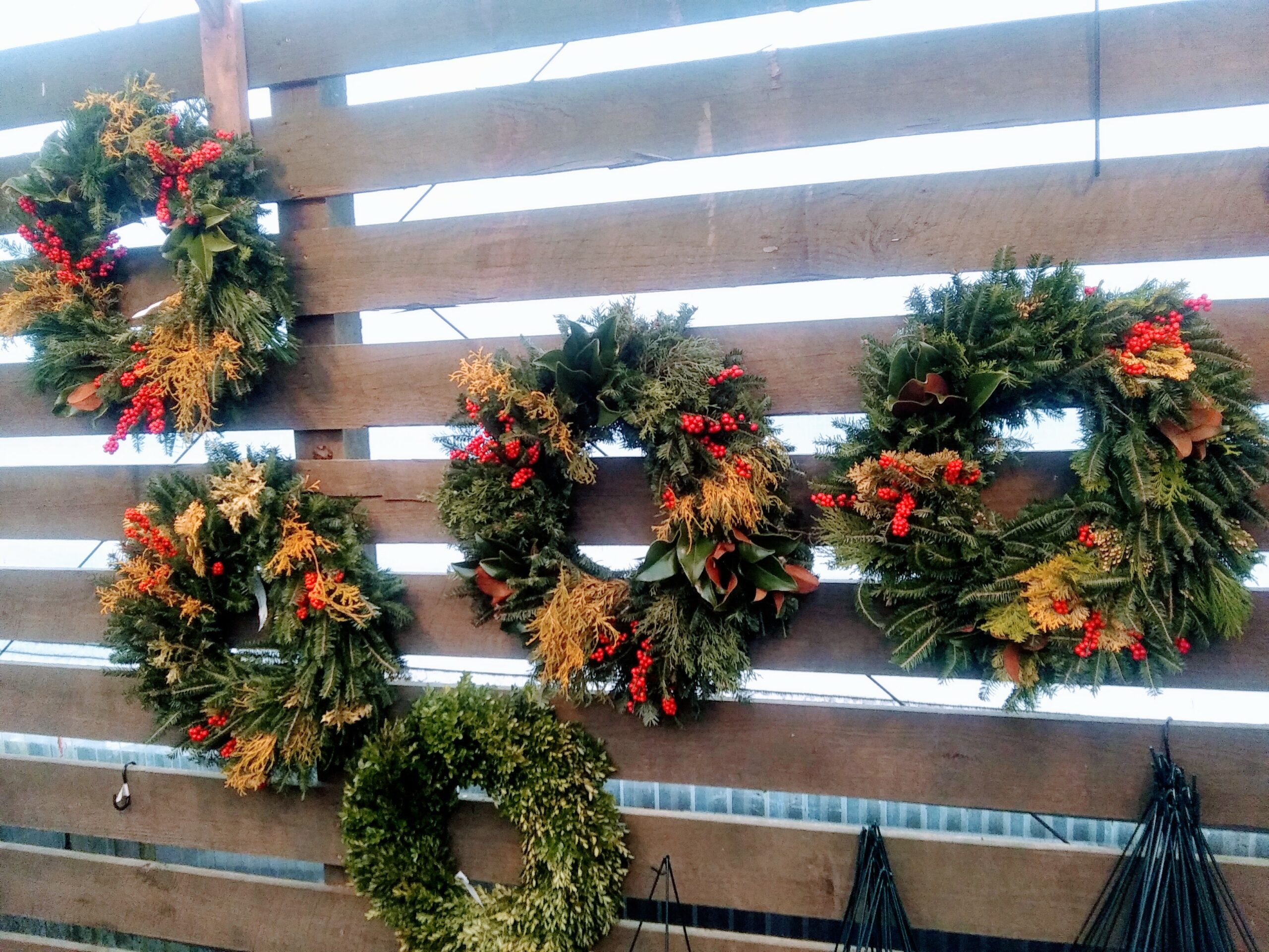 Large Selection of Holiday Wreaths