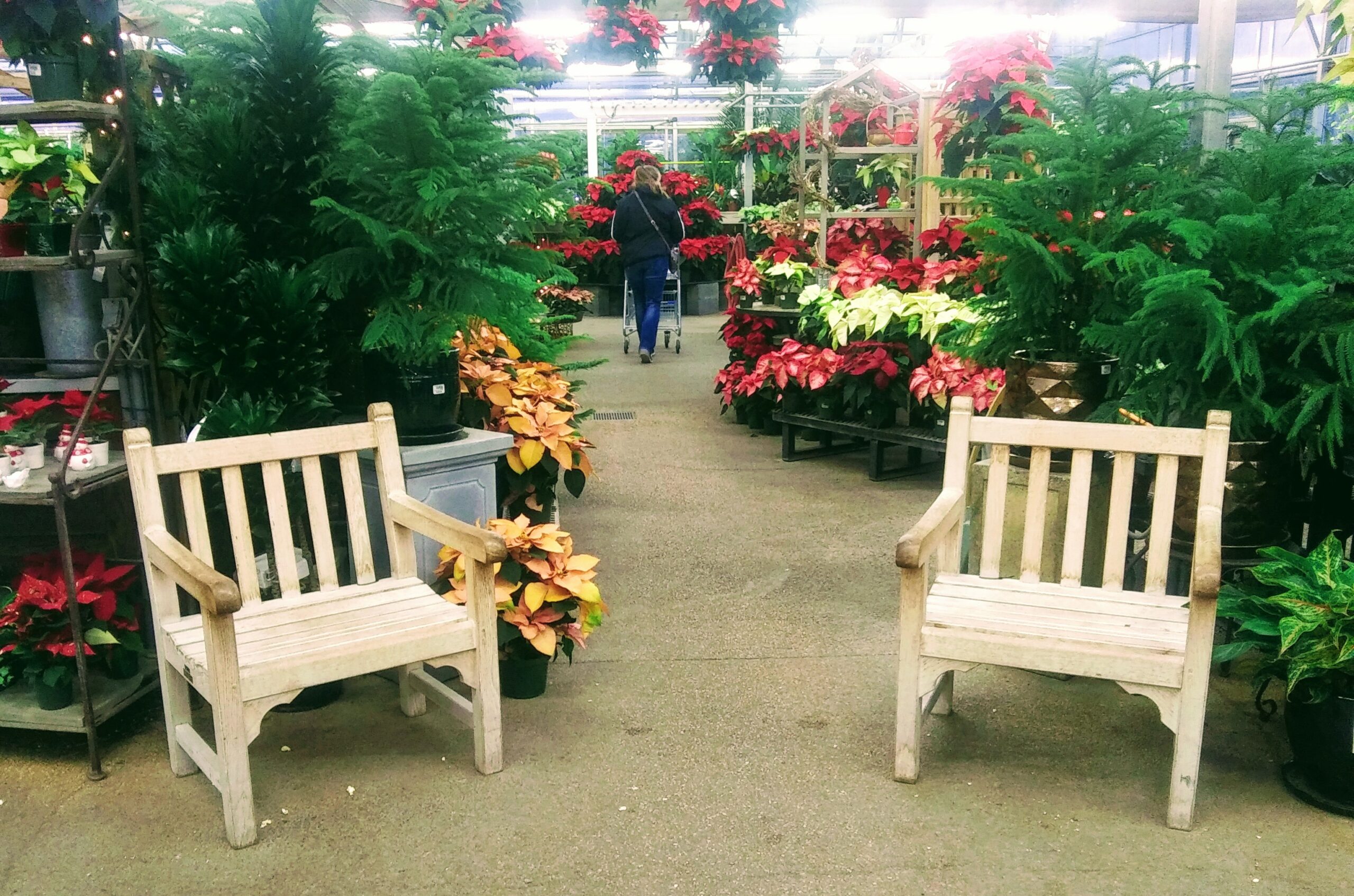 A Peaceful Sitting Area in the Greenhouse