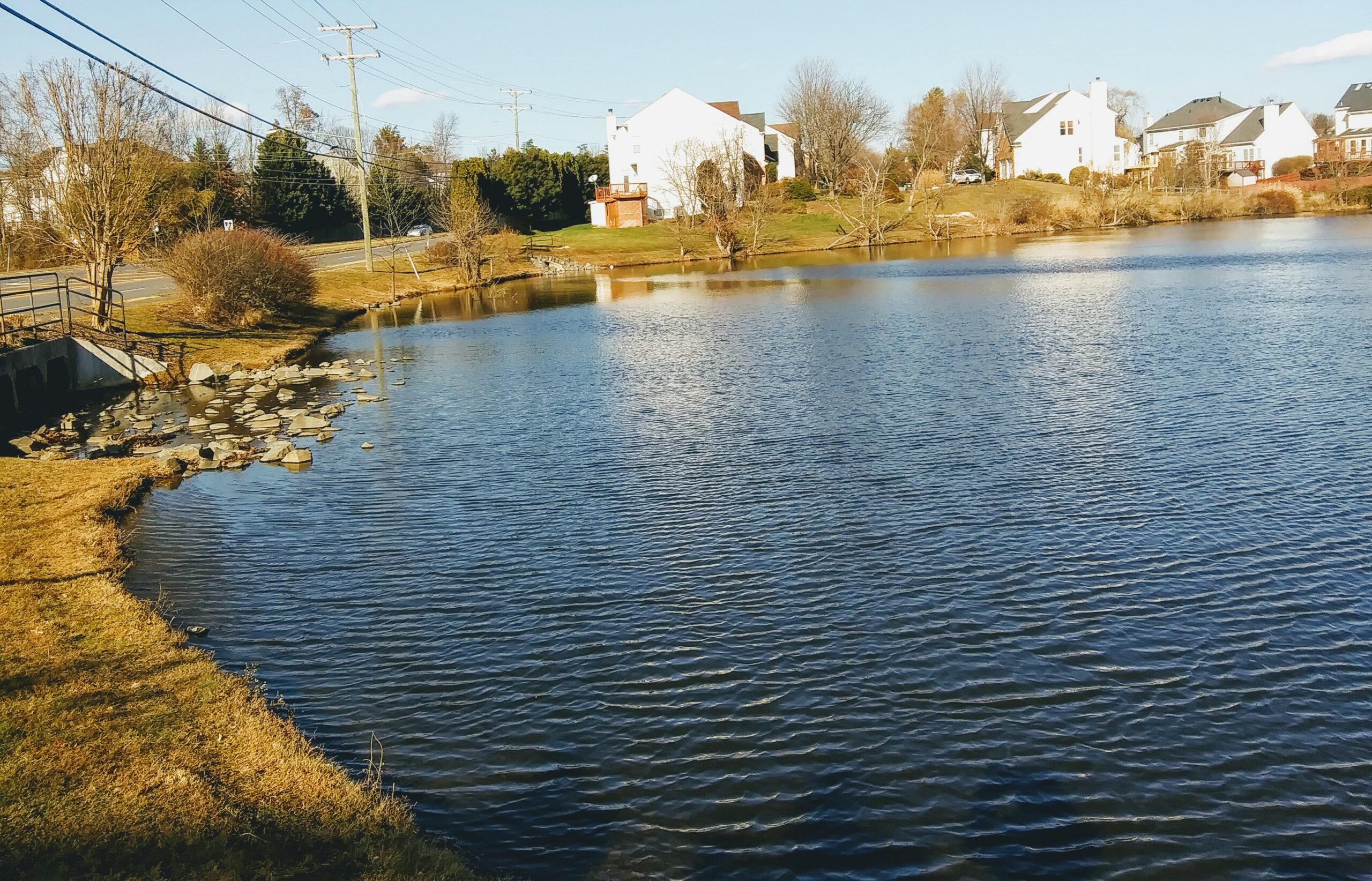 Gentle Waves on the Pond