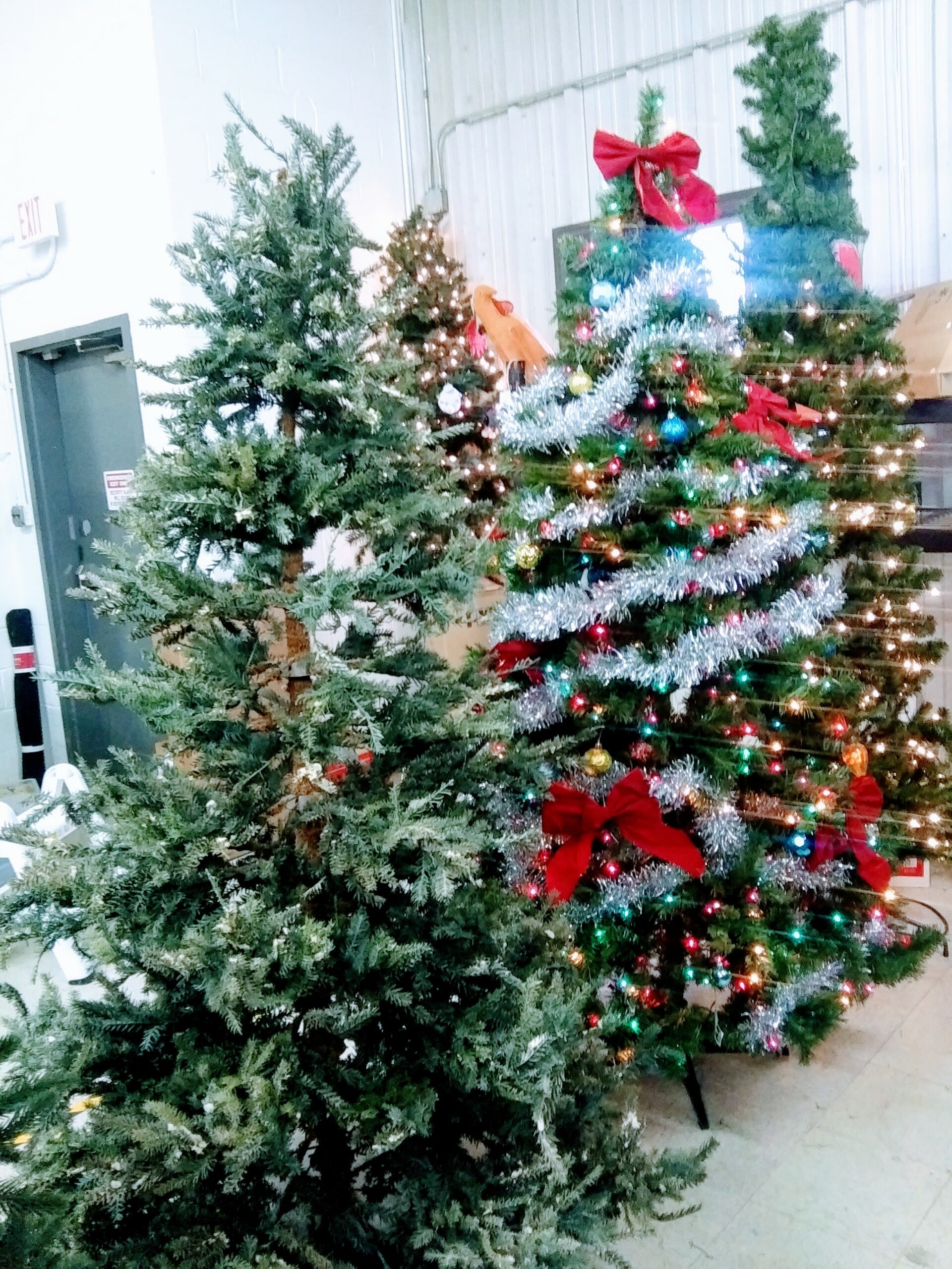 A Row of Recycled Artificial Christmas Trees