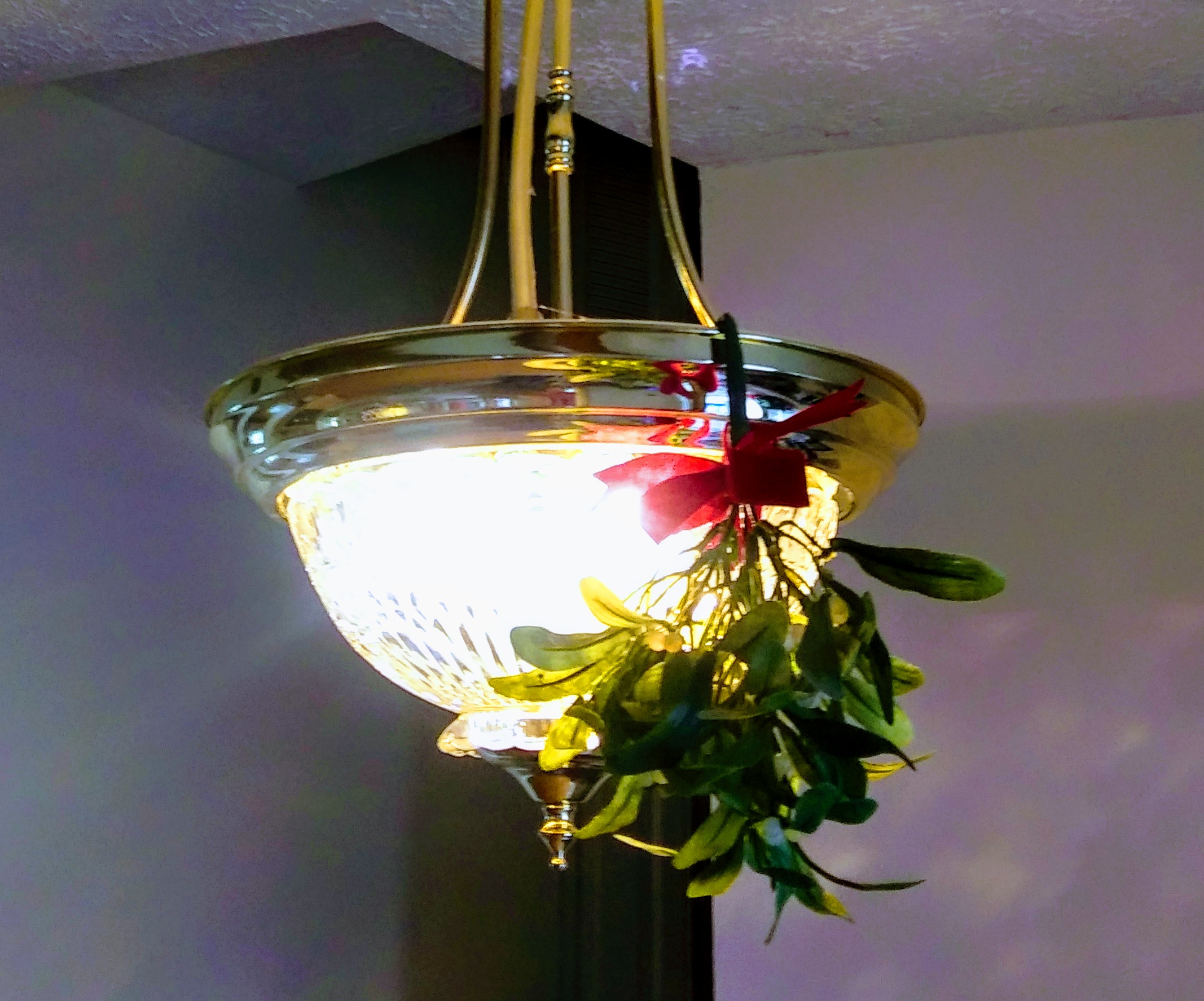 Mistletoe Hung from my Light Fixture