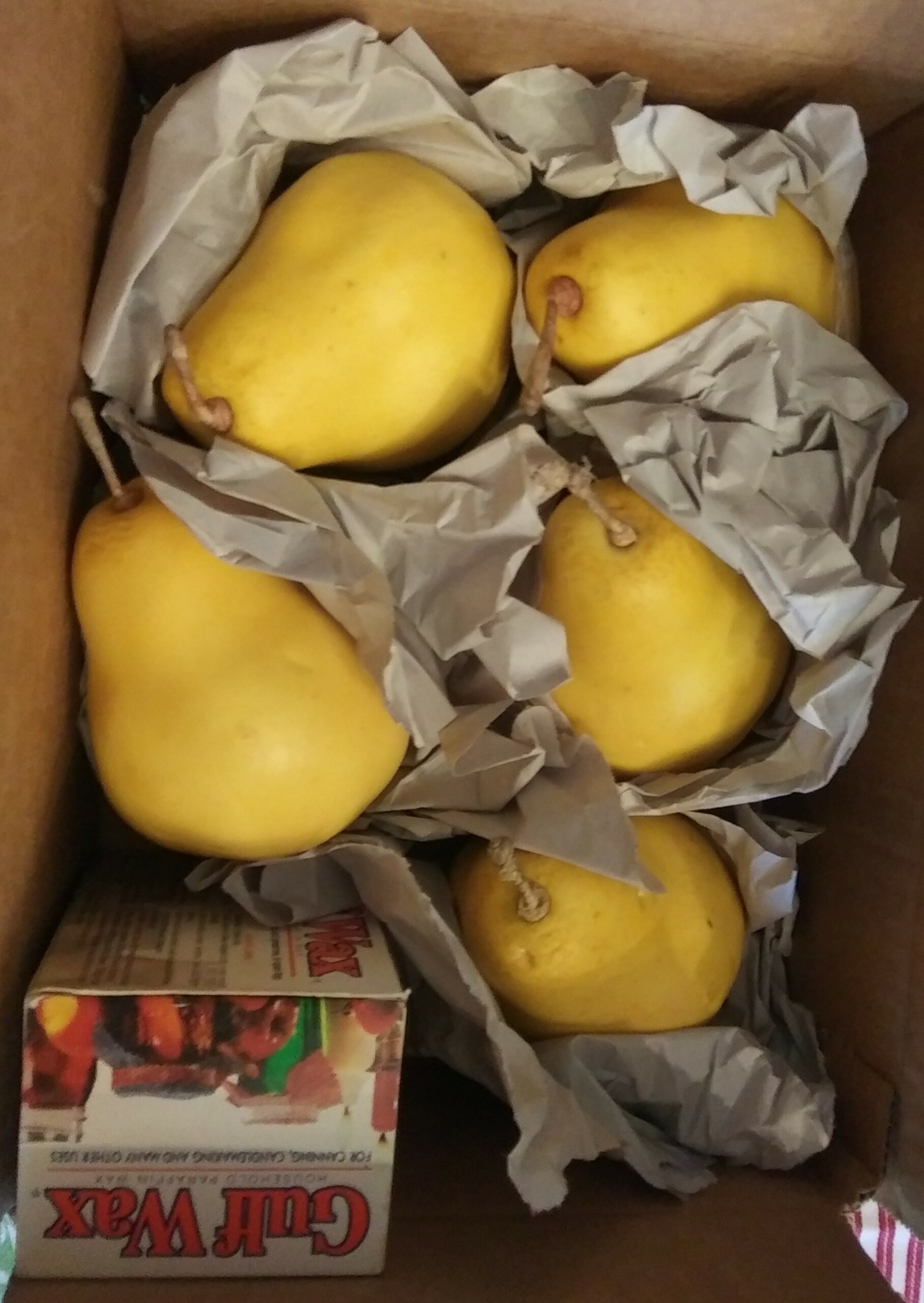 Boxed Pears and Paraffin Wax