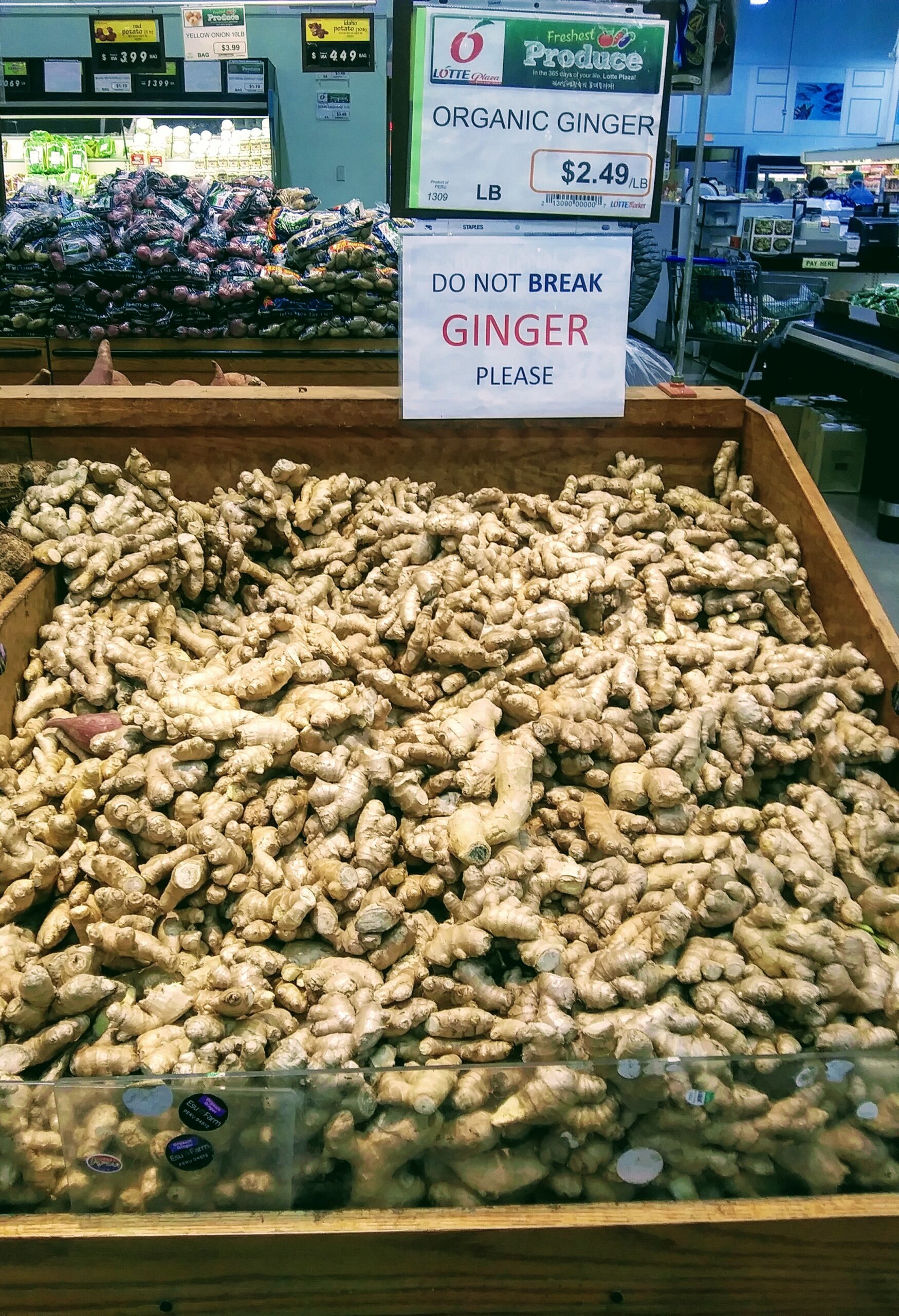 Large Selection of Fresh Ginger