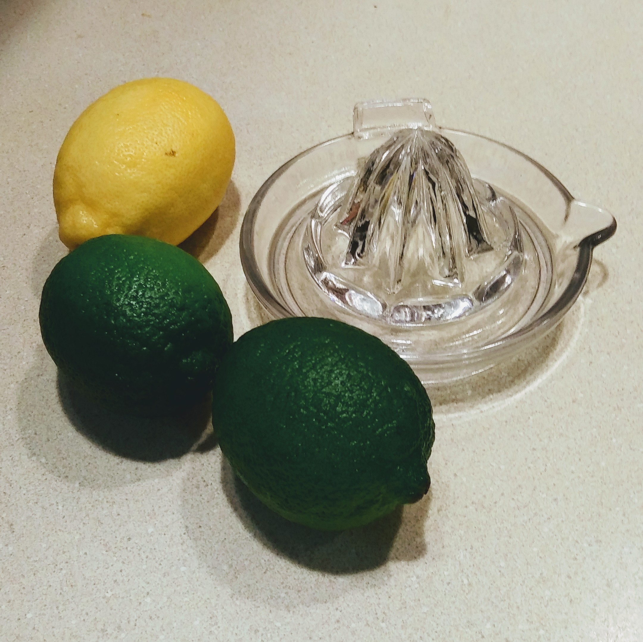 Glass Mini Juicer with Lemon and Limes