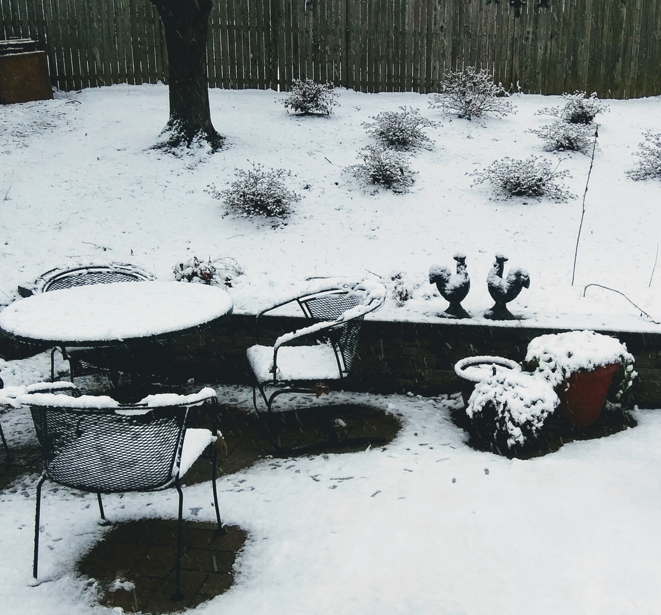 My Patio Covered with Snow