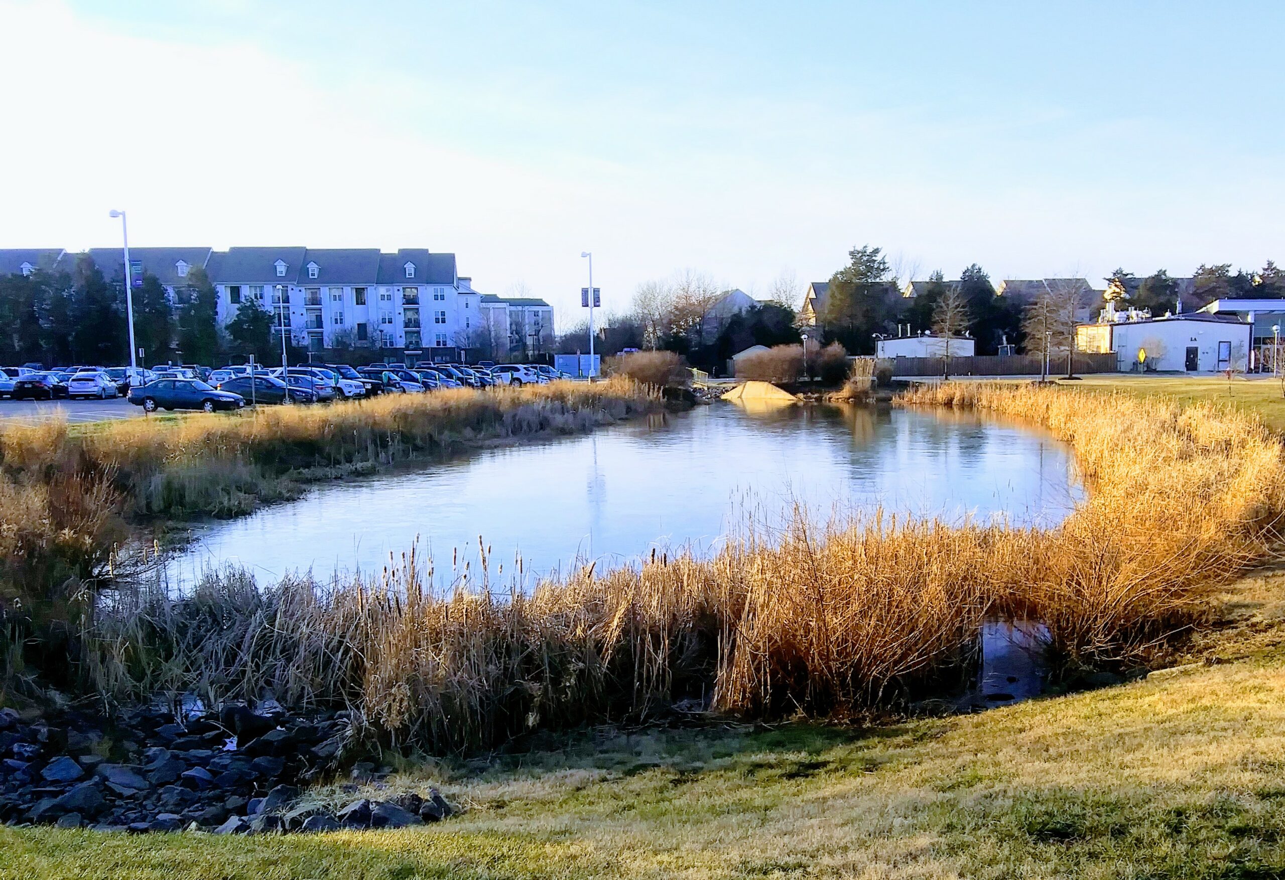 Pond on Campus