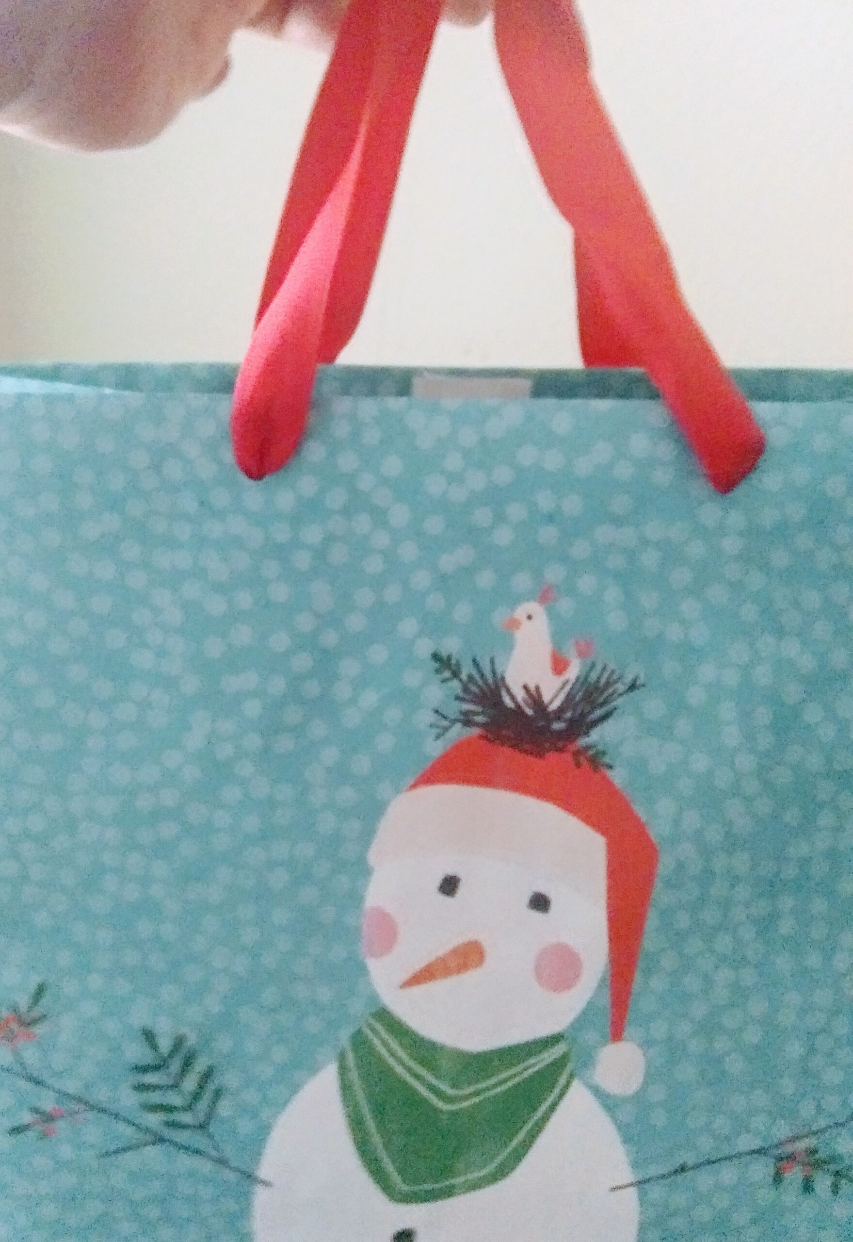 Recycled Gift Bag with Ironed Ribbon Handles