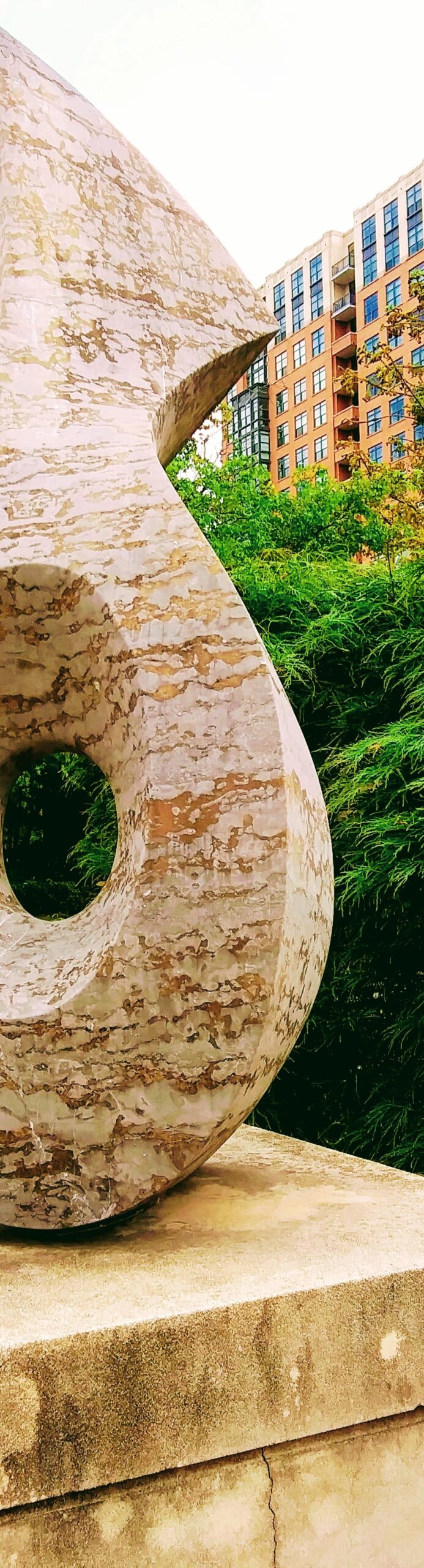 Curves of a Sculpture