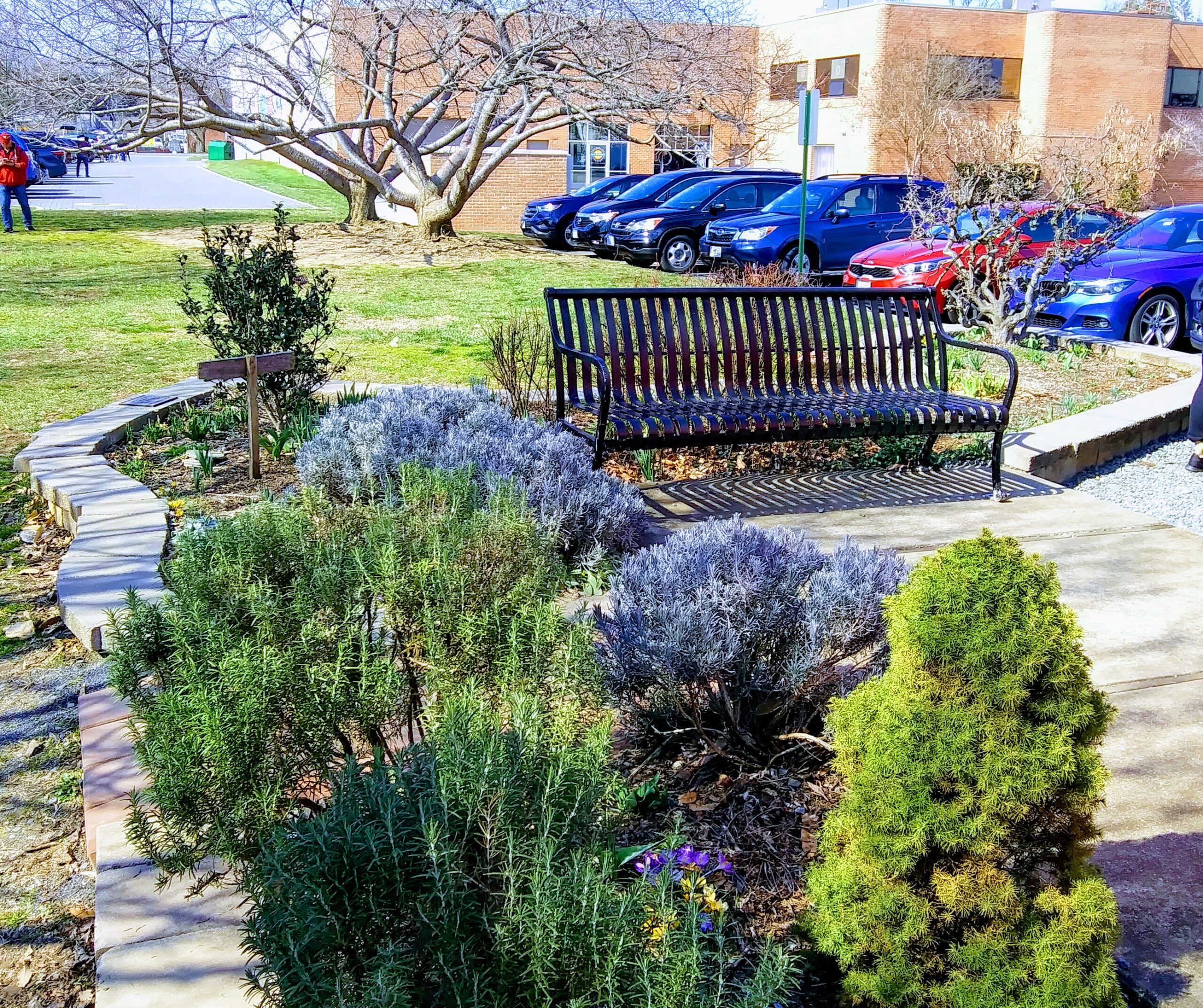 Small Garden in the Center of Town