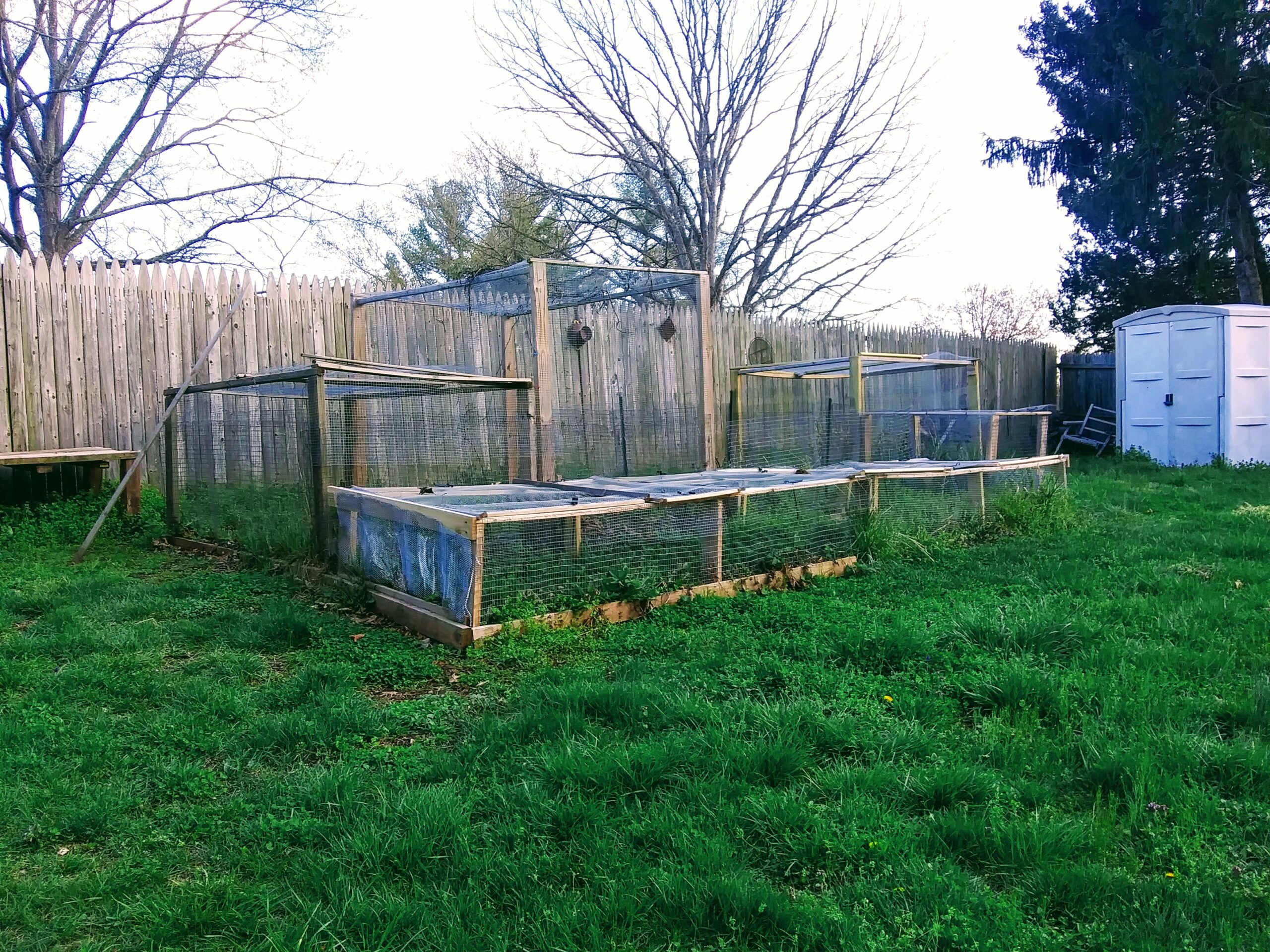 Cages to Protect Plants