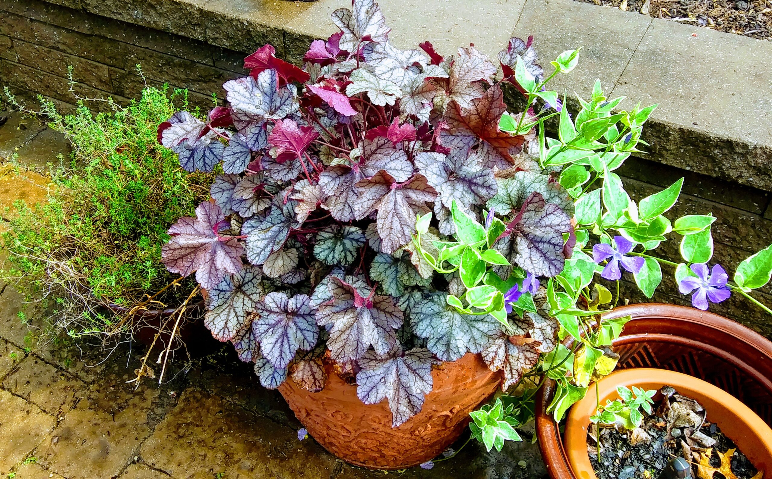 Planters on Patio