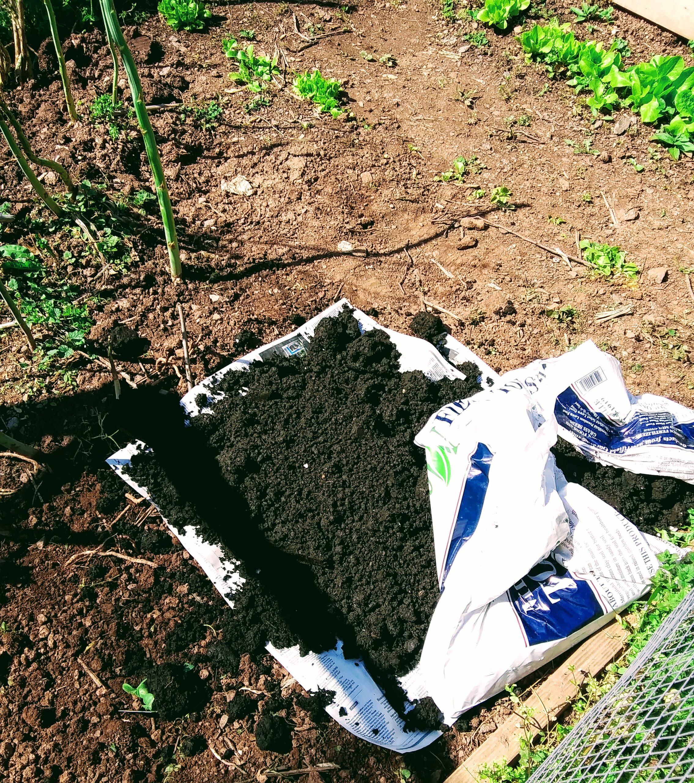 Adding Top Soil