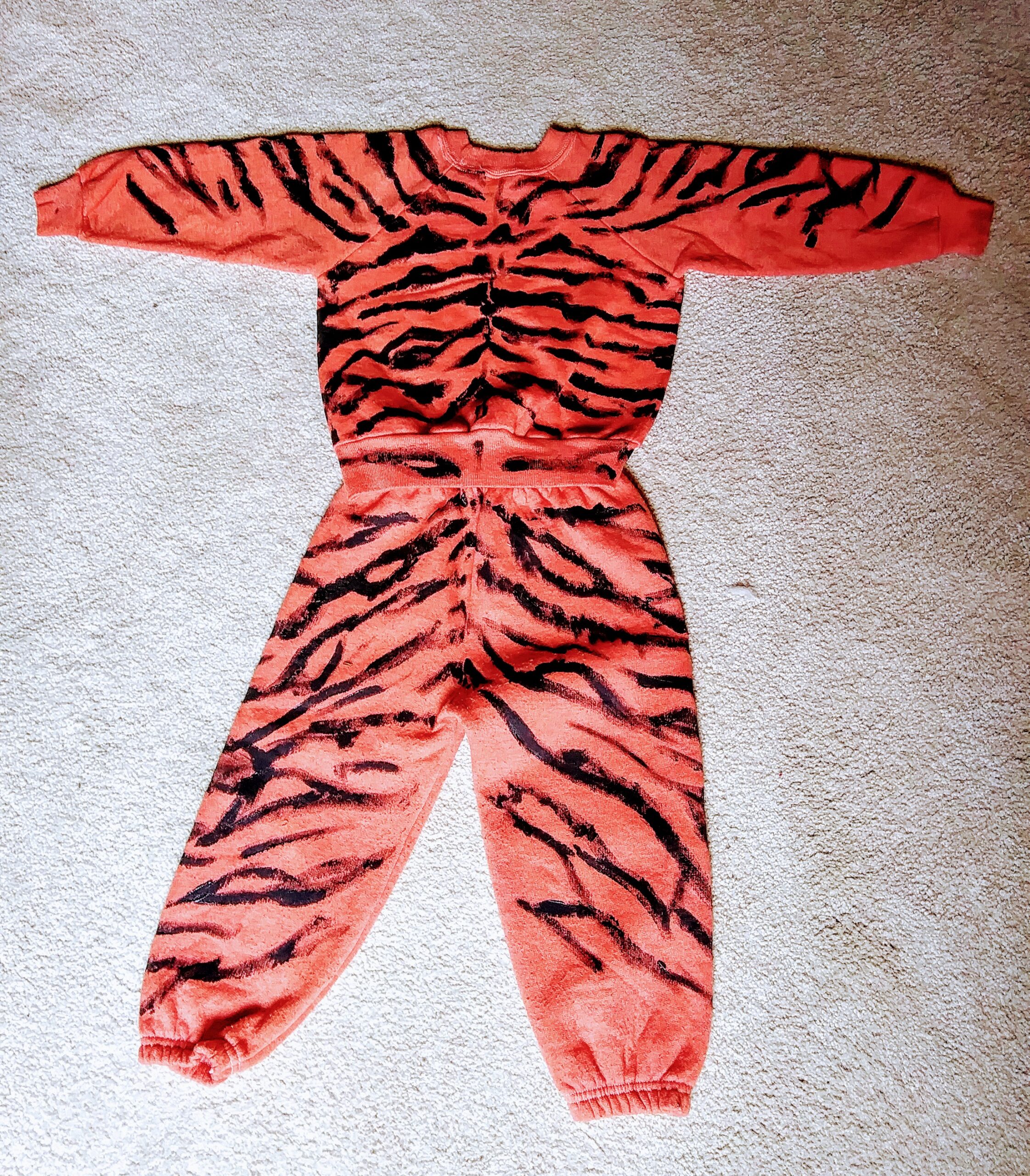 Back of Hand Painted Tiger Cub Costume