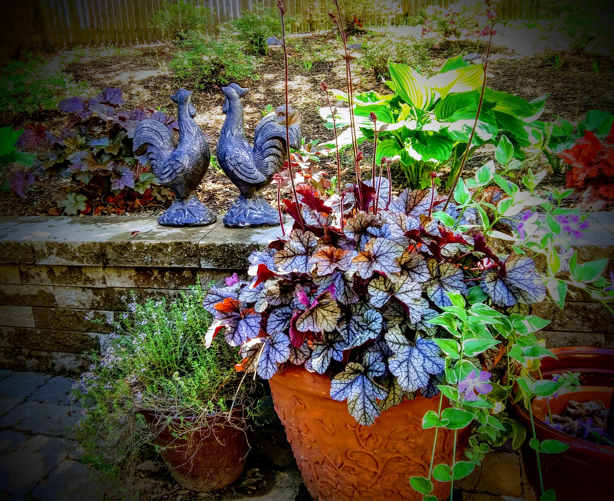 Crocks on Patio