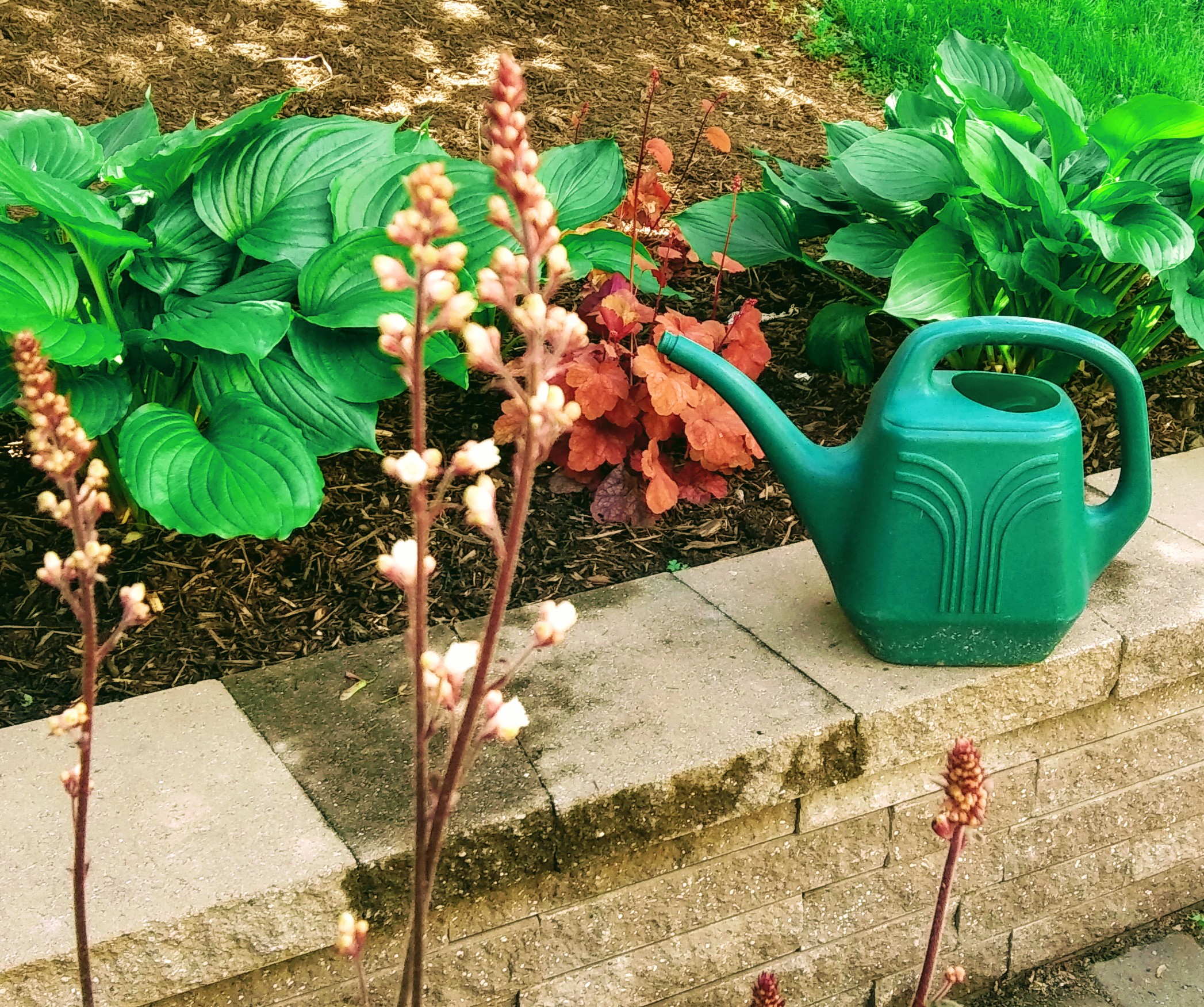 Green Watering Can