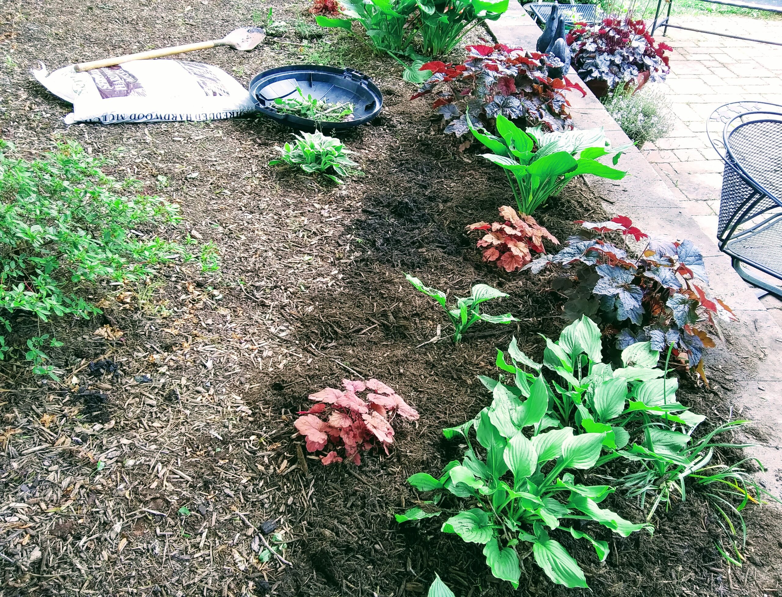 Mulching of the Flower Beds