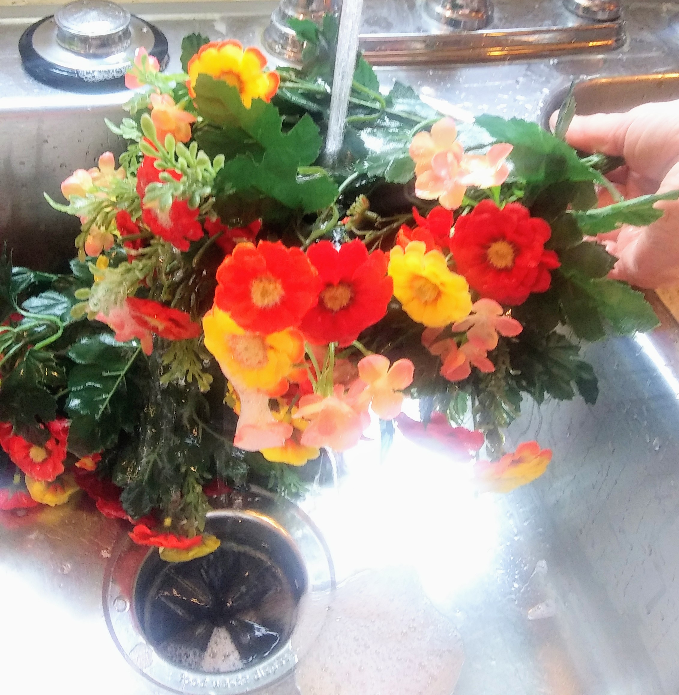 Rinsing Silk Flowers