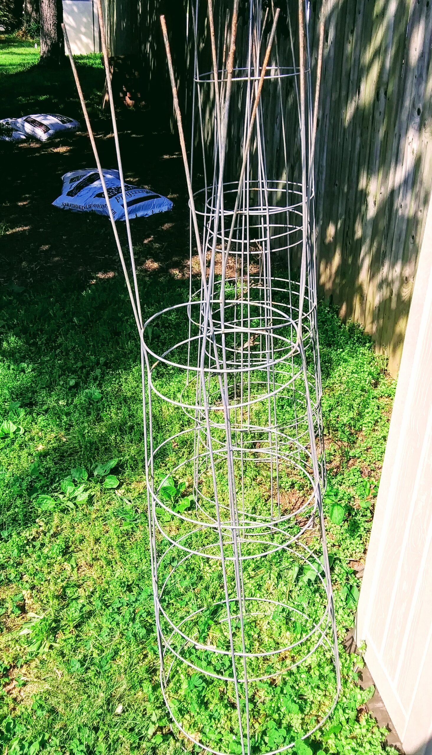 Recycled Tomato Cages