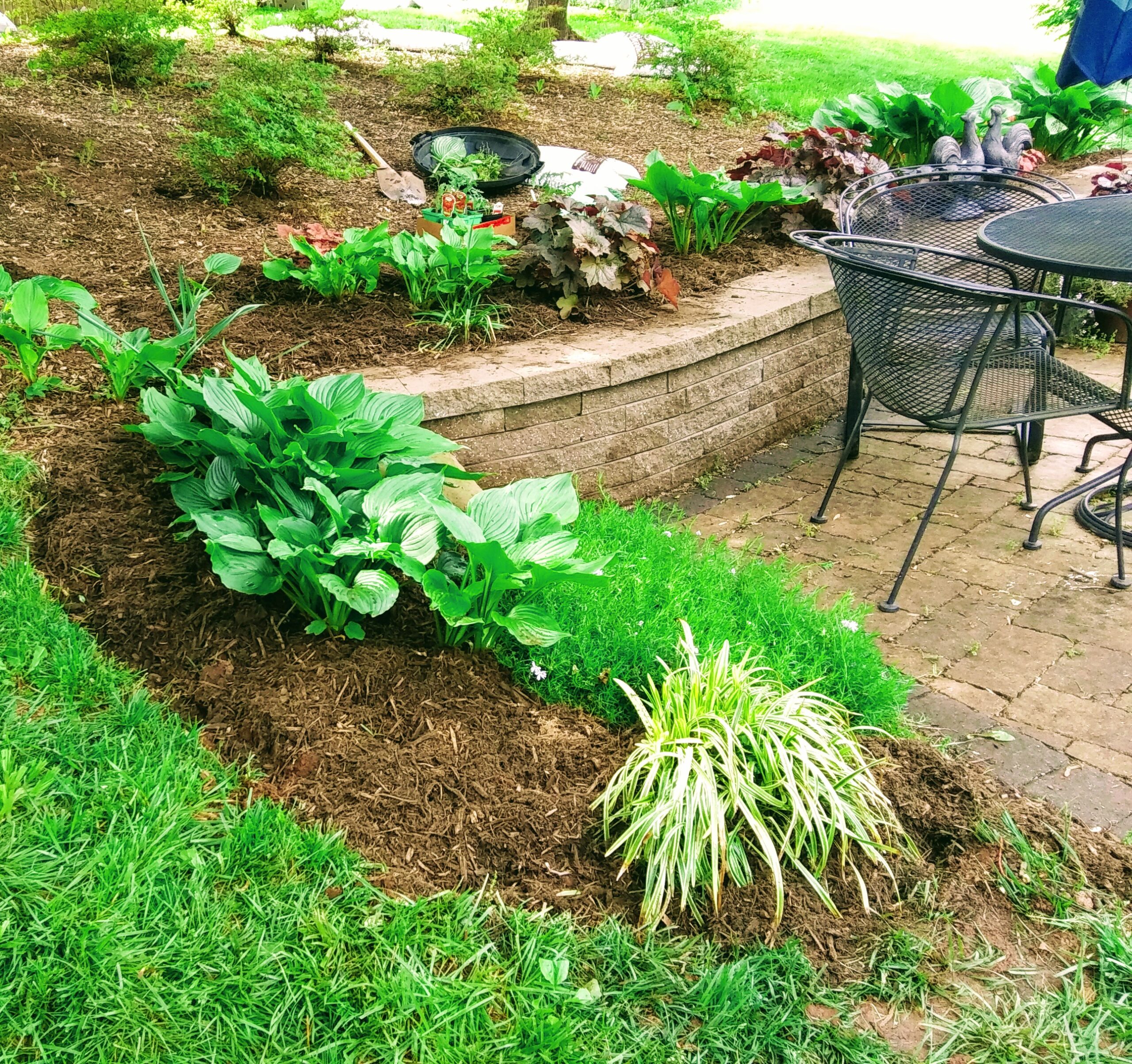 View of Mulched Area