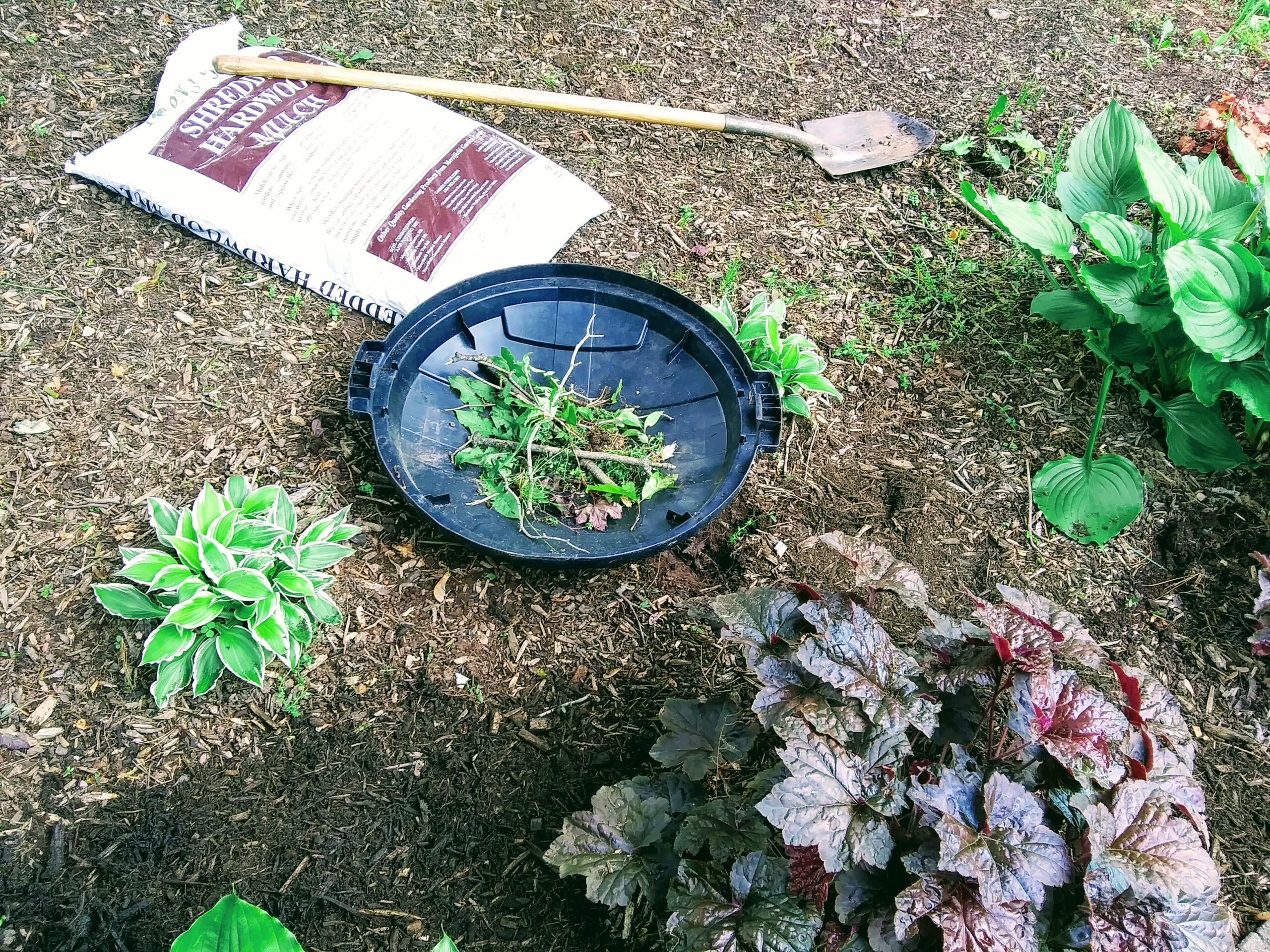 Weeding and Mulching Flower Beds