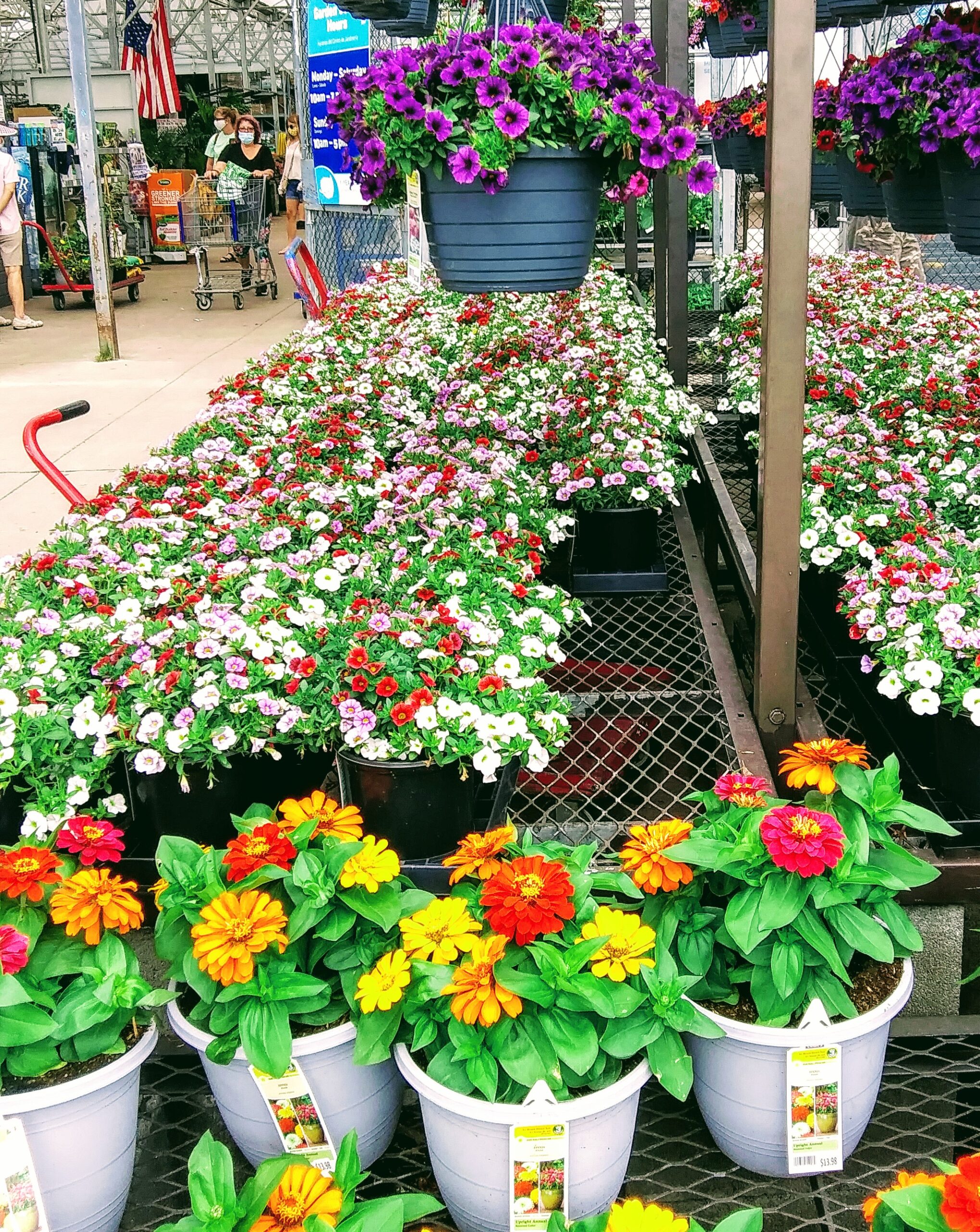 big Box Store Garden Department