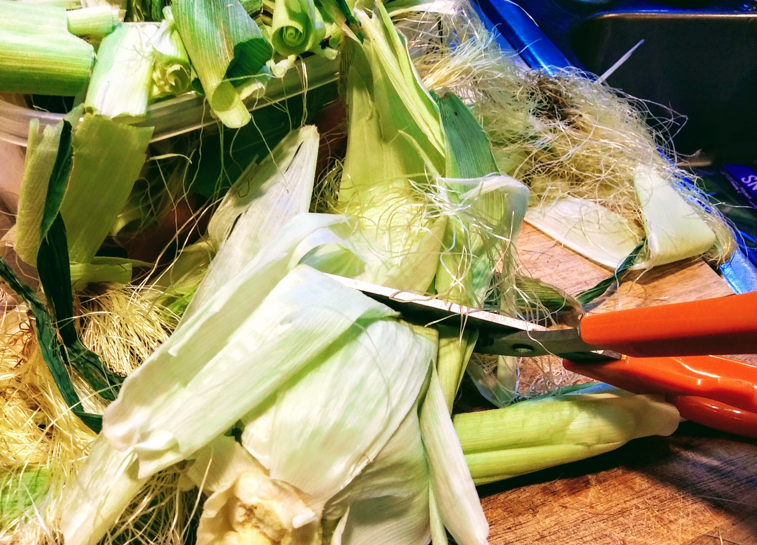 Composting Corn Husks