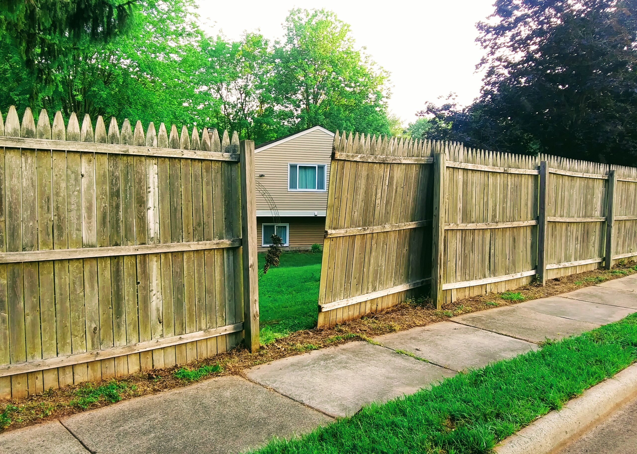 Fence Removed so Snapping Turtle Could Escape