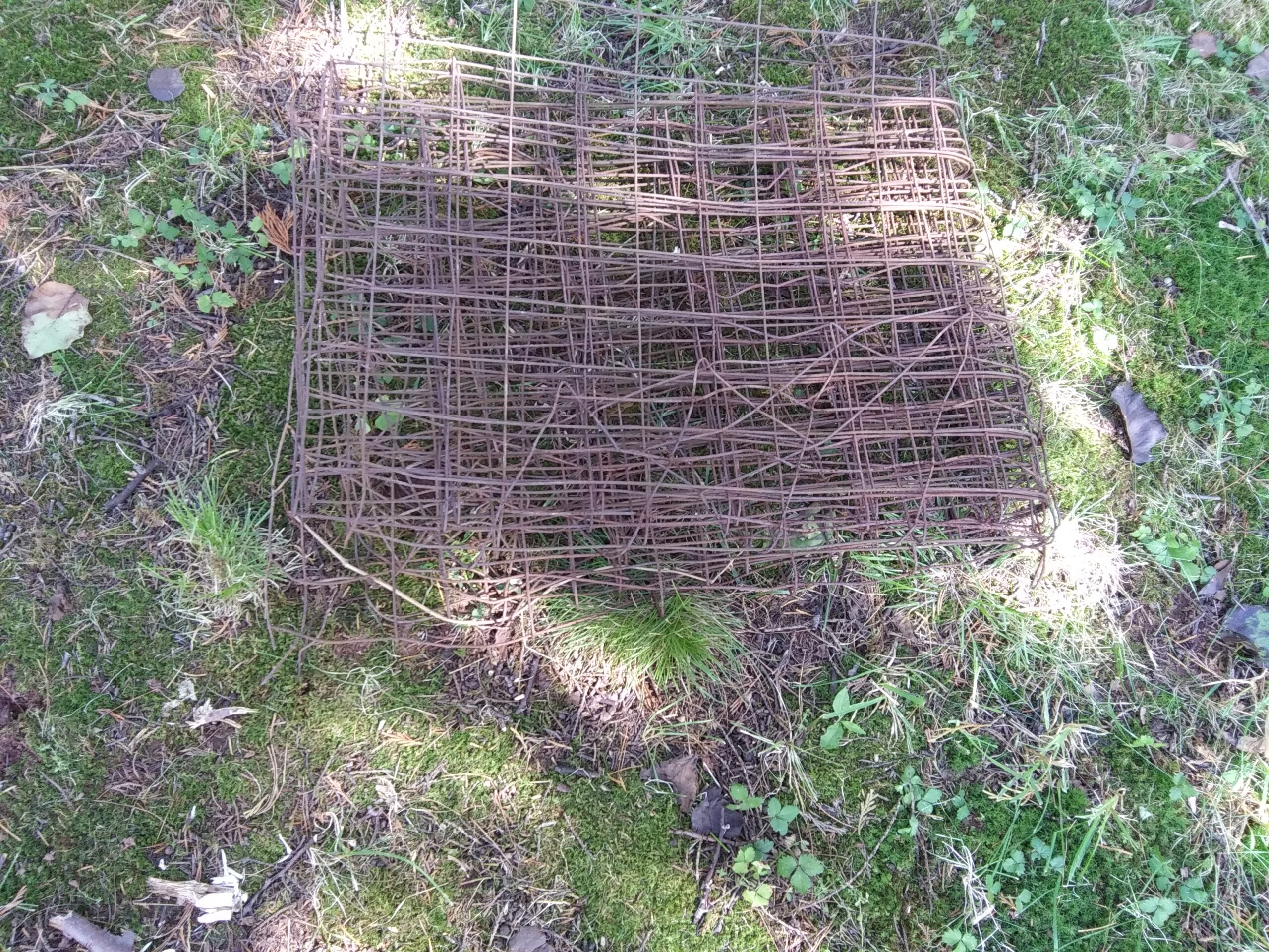 Rusty Wire Fence Ready for Disposal