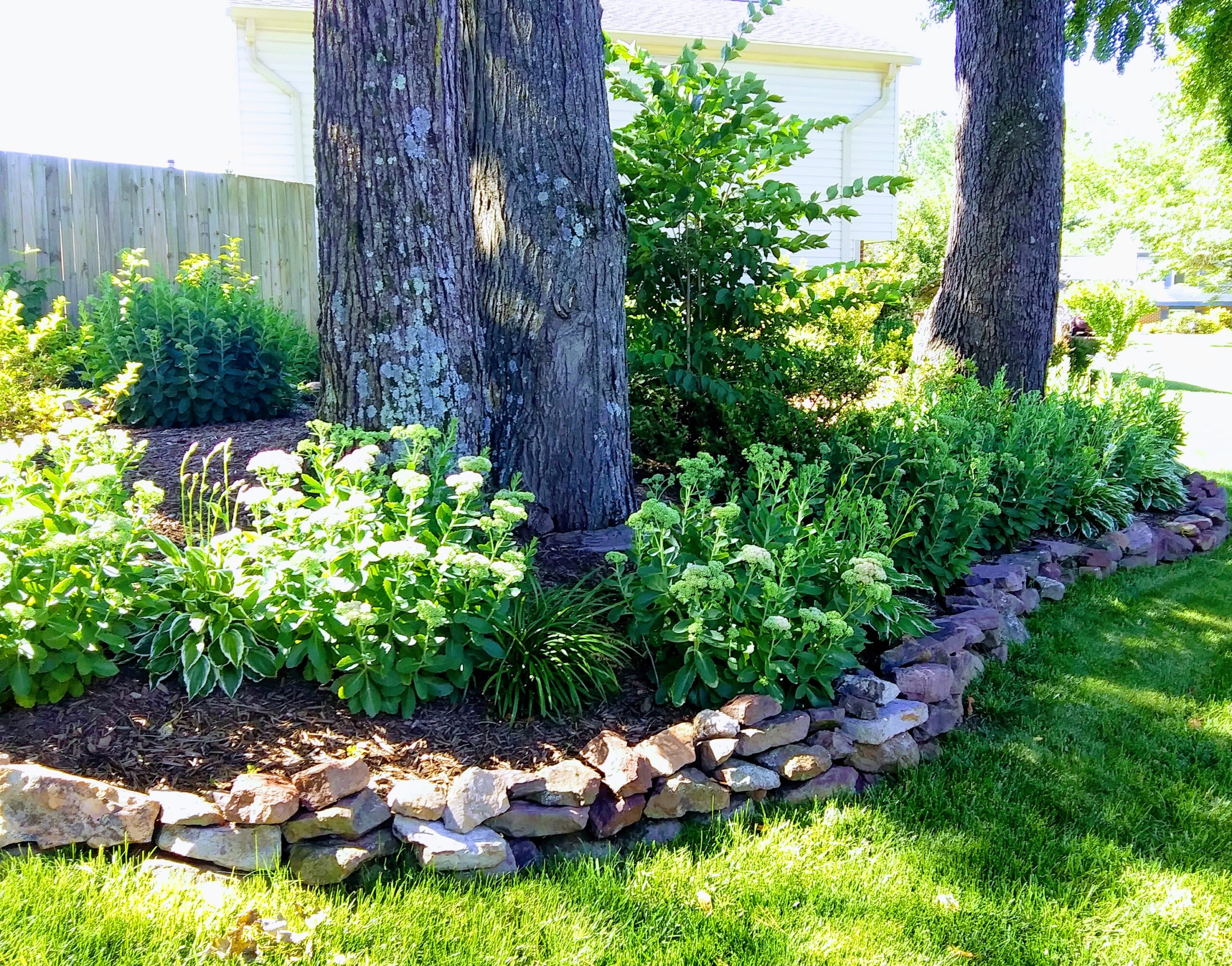 Stone Wall Around Plants