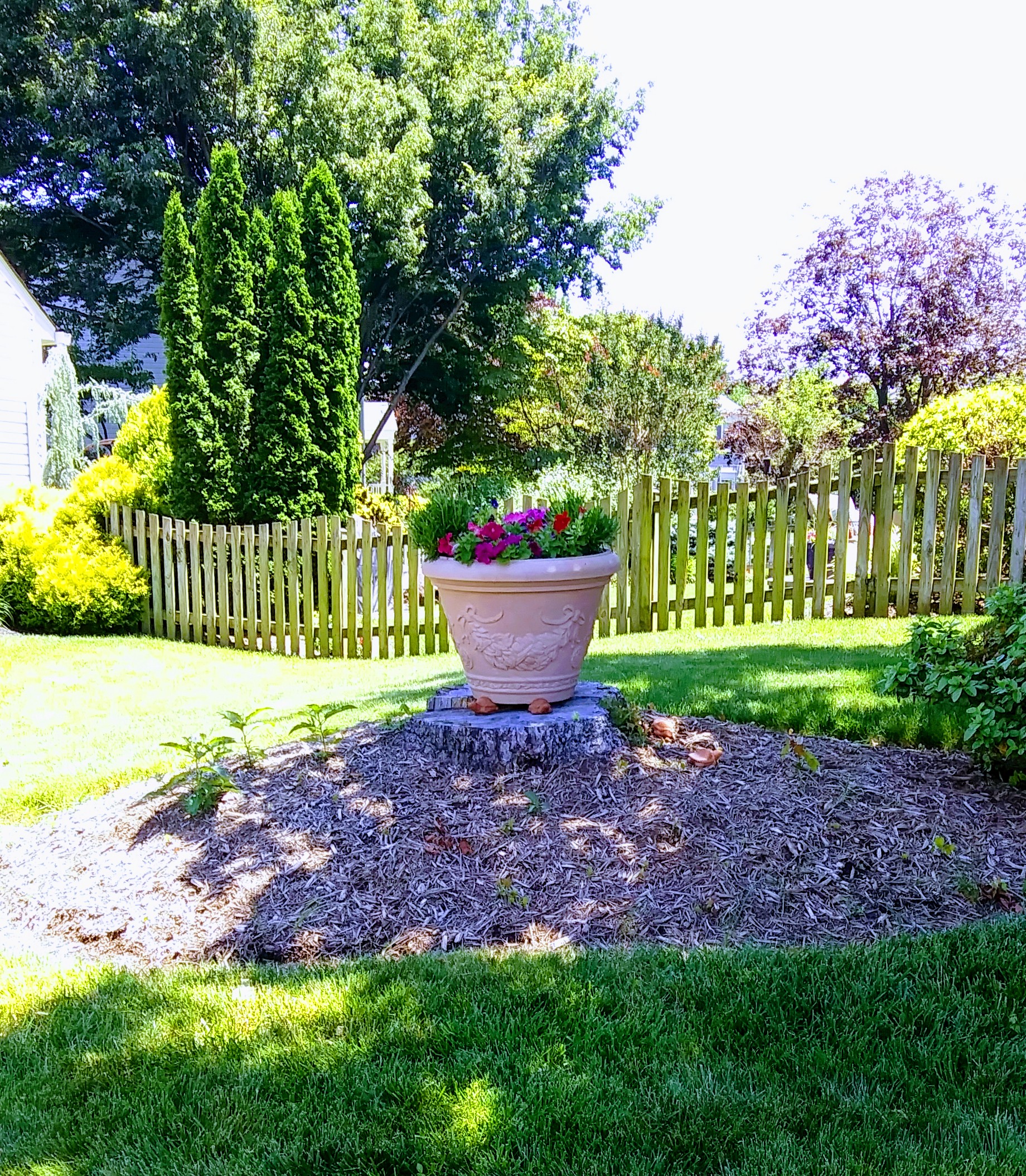 Terracotta Planter on Tree Stump