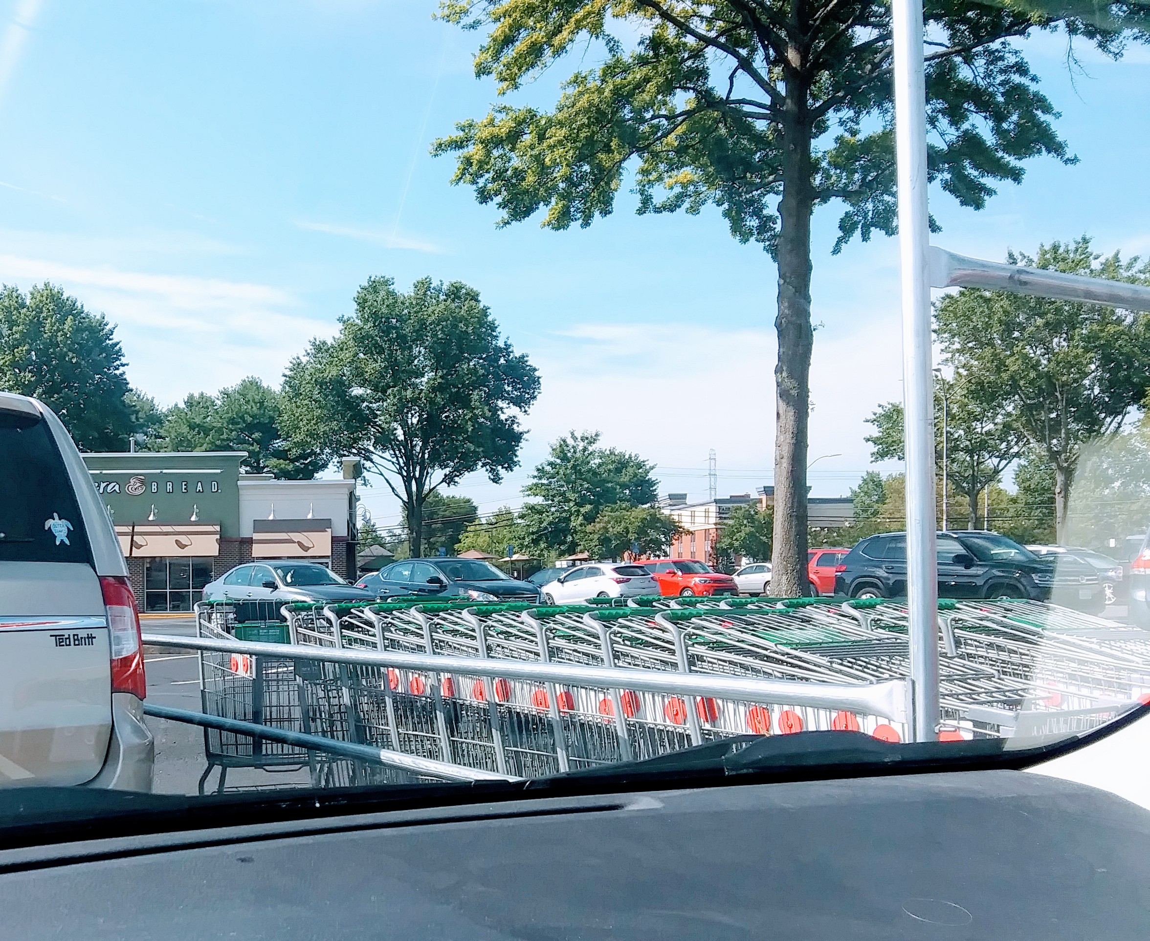 Line of Shopping Carts