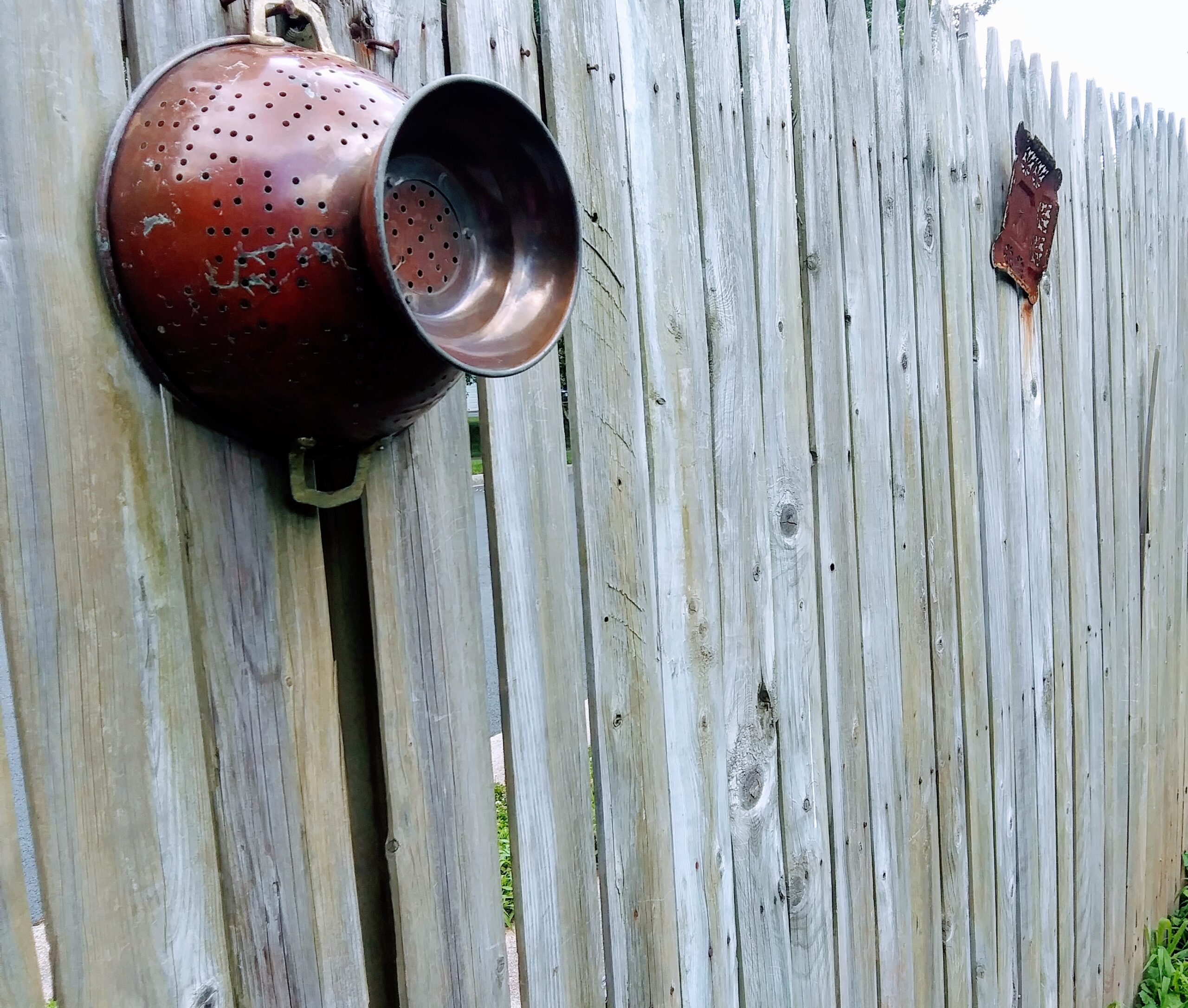 My Garden Fence