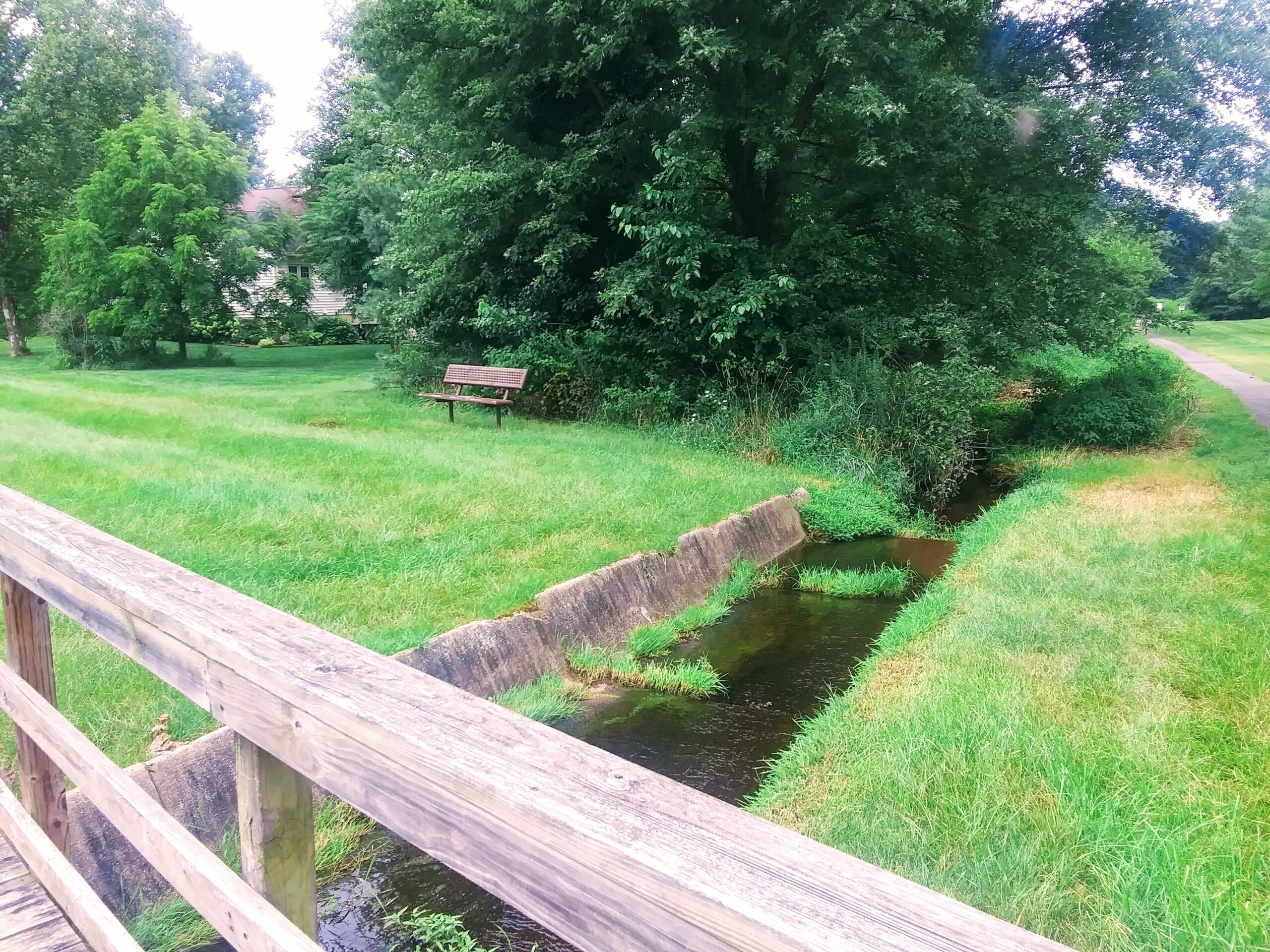 Creek Near Video Shoot Location