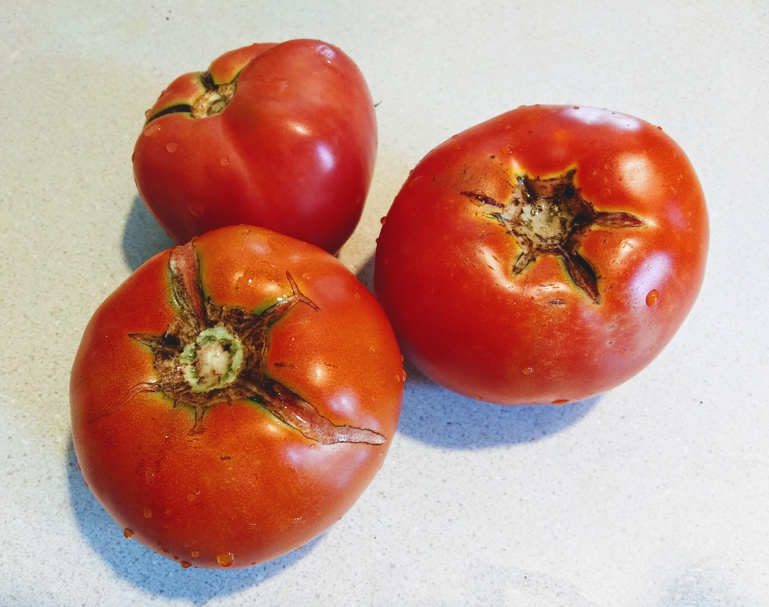 Garden Fresh Tomatoes