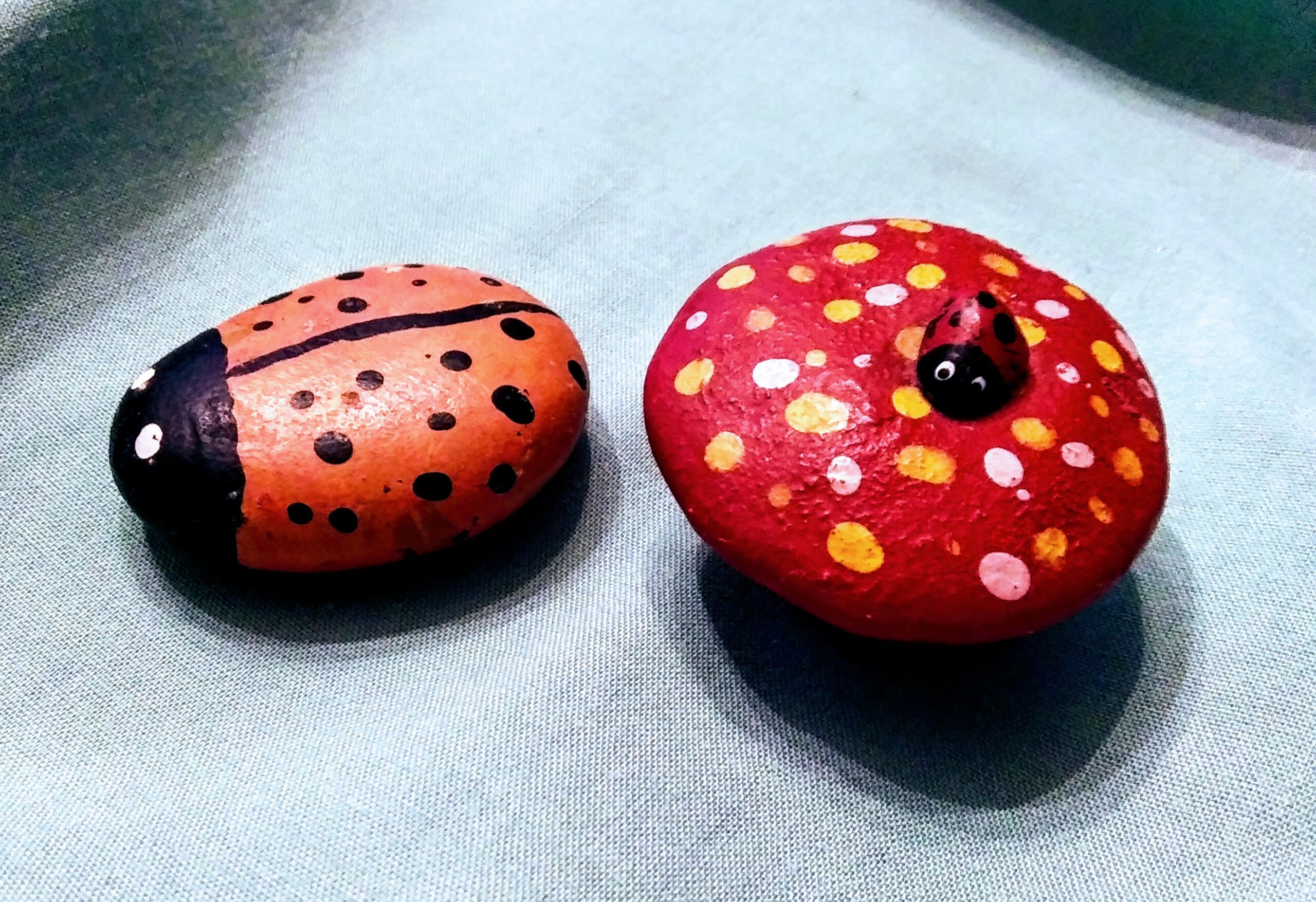 Top View of Painted Ladybug and Mushroom