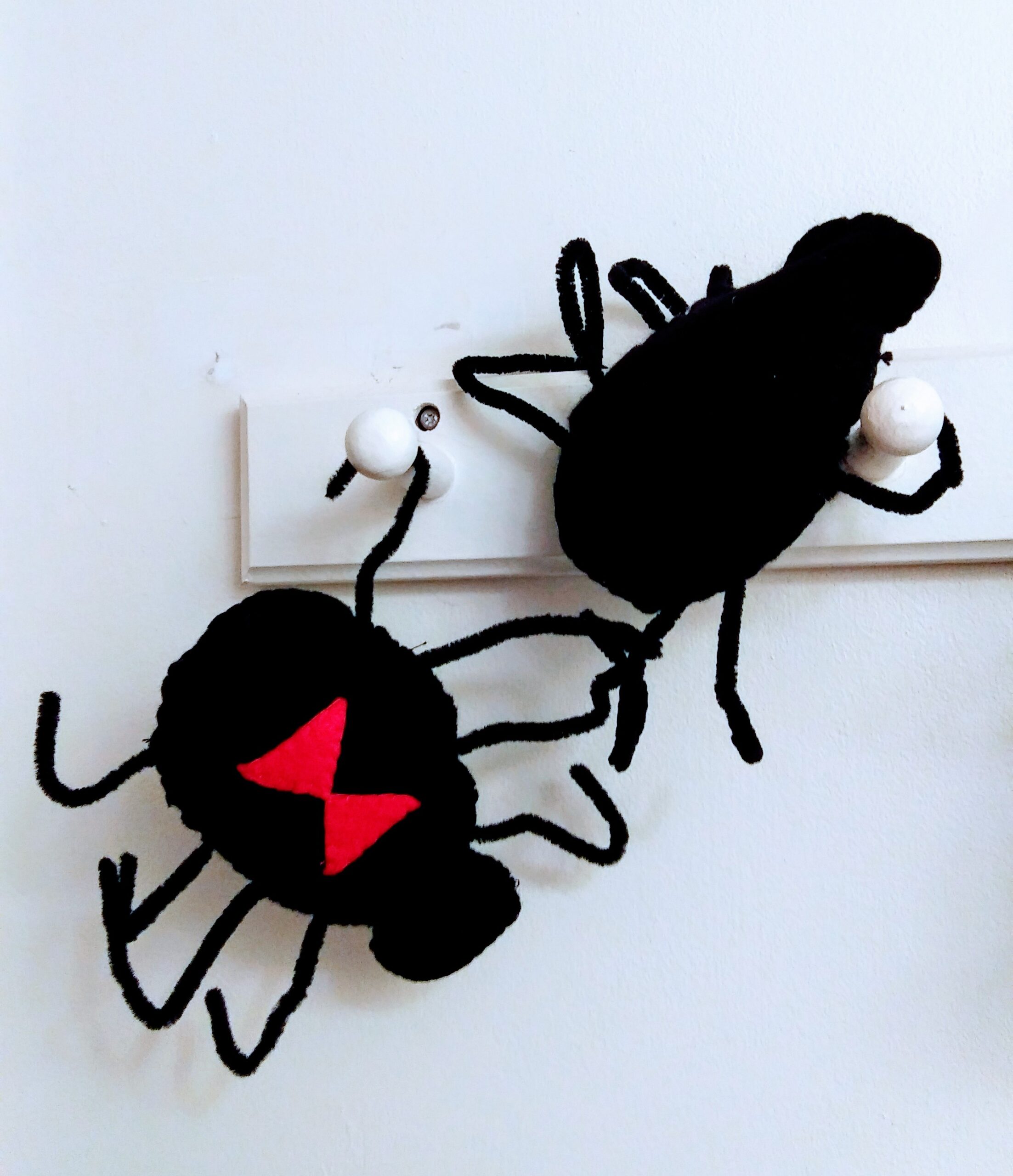 Black Widow Spider on Coat Rack