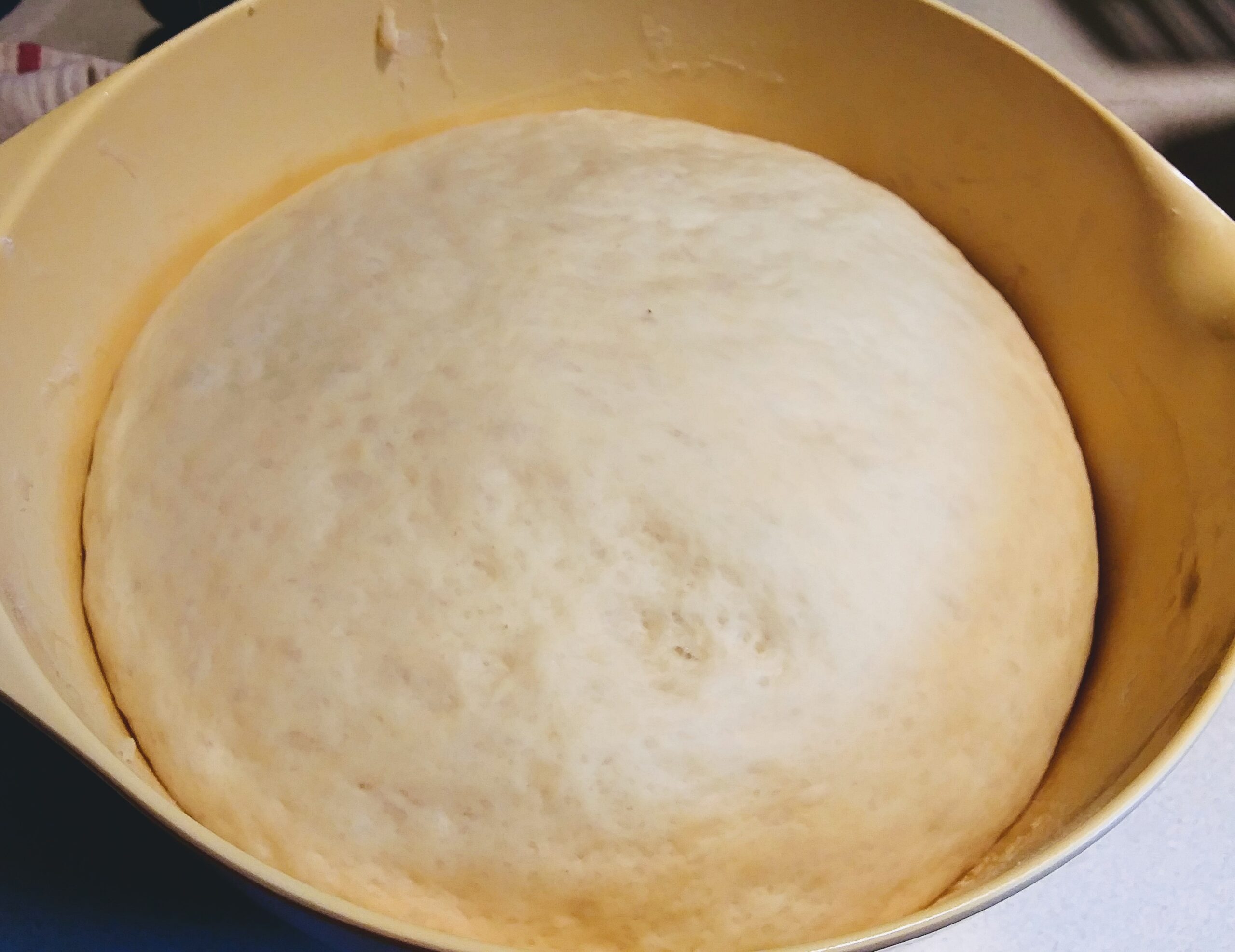 Bread Dough in Bowl