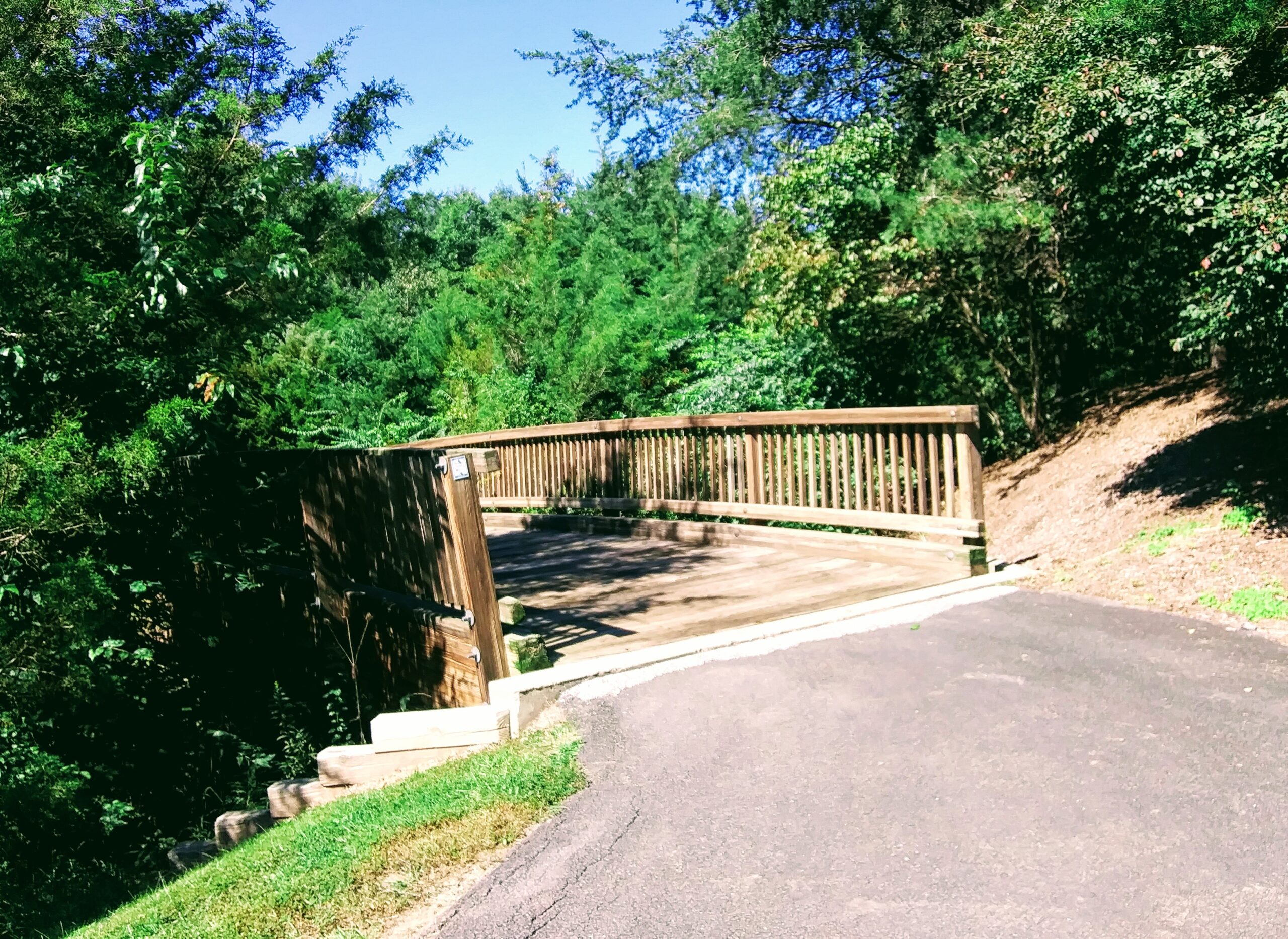 bridge on Walking Path