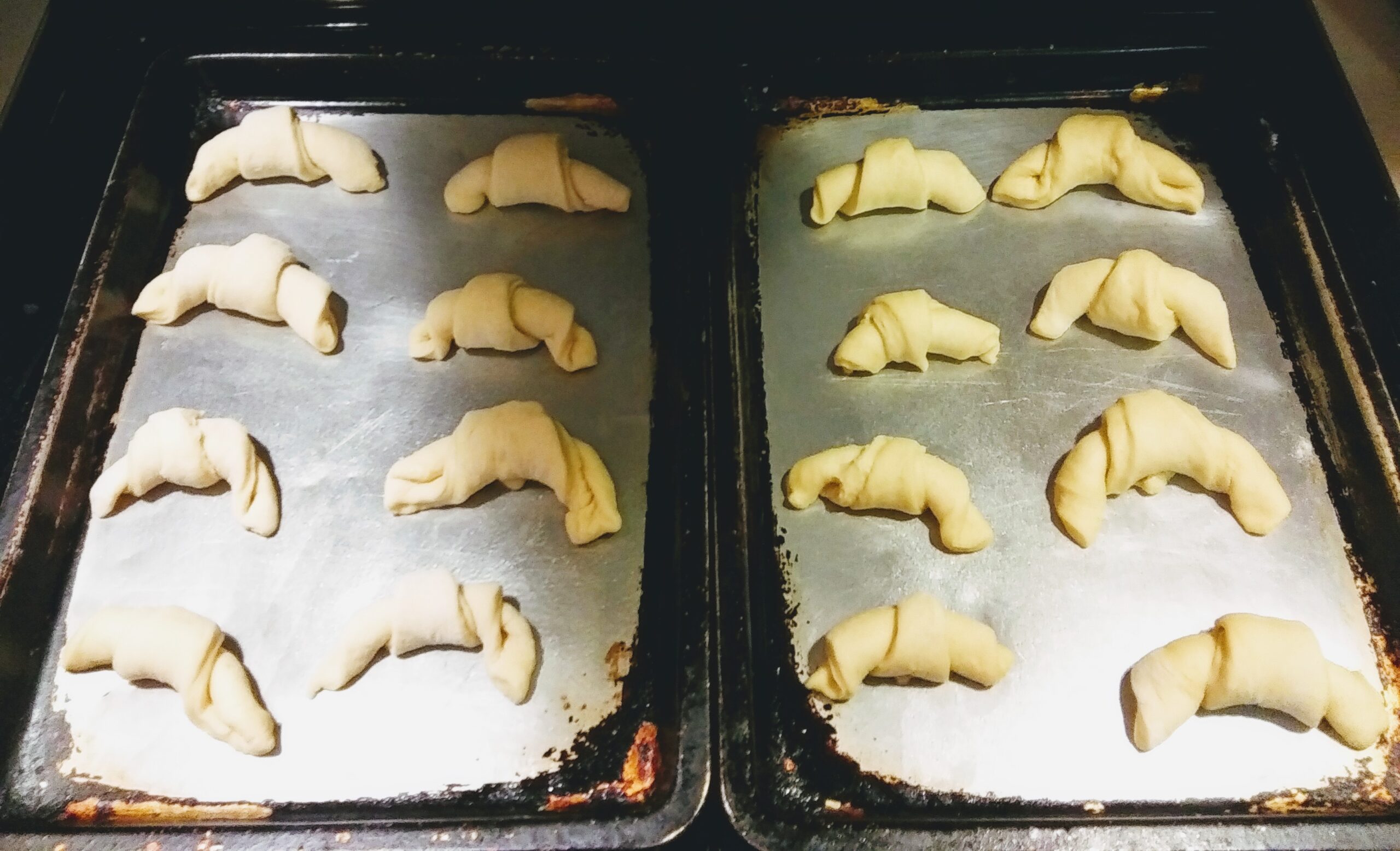 Crescent  Rolls on Baking Pan