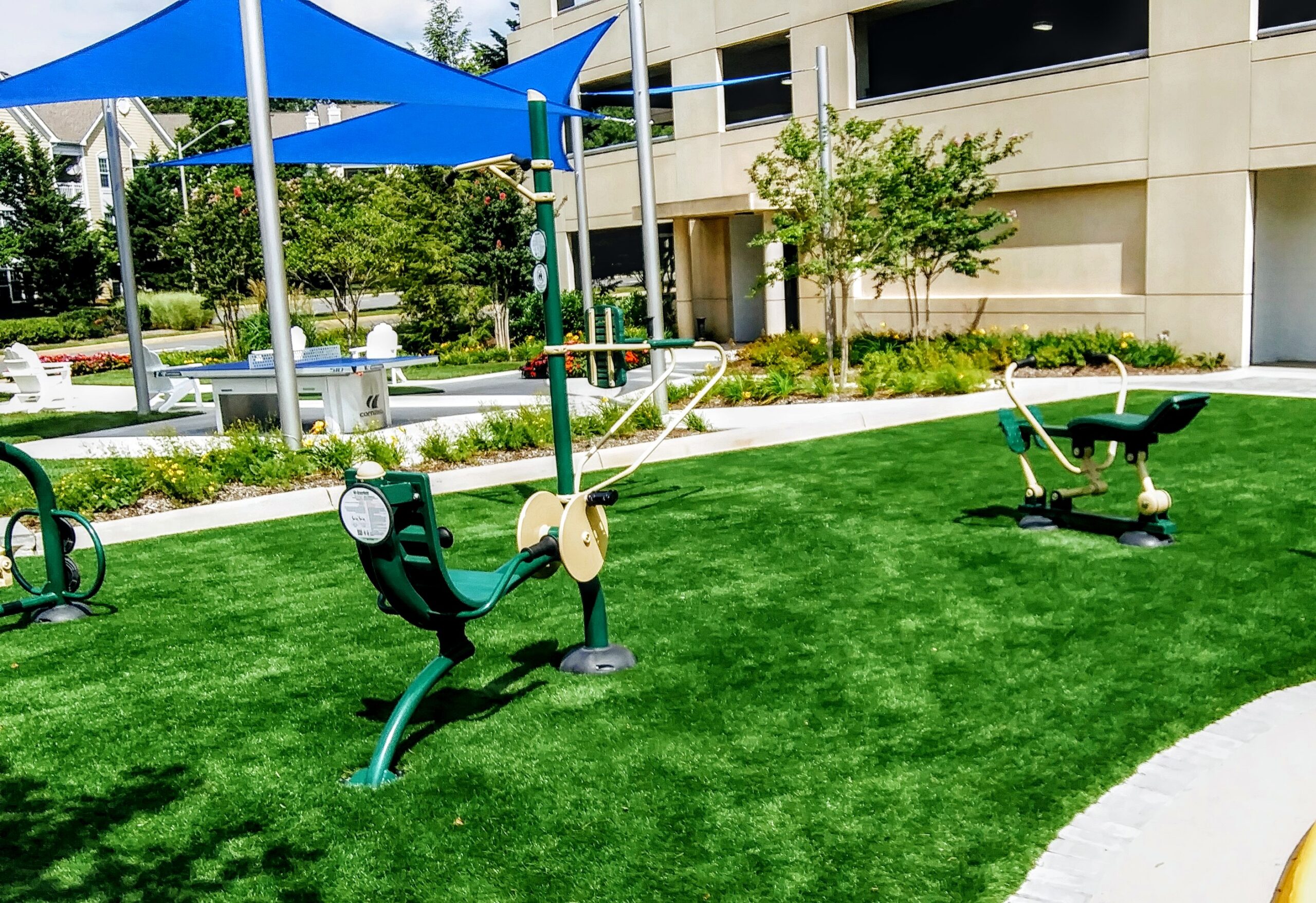 Gym Area on Artificial Grass