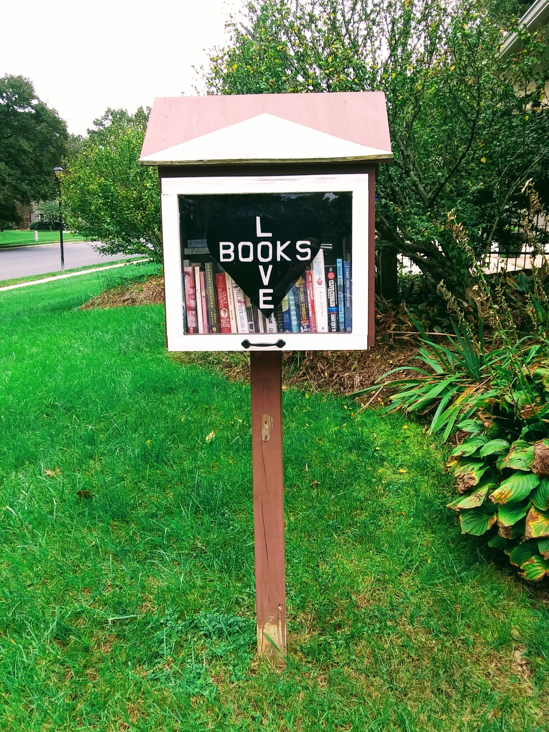 Little Free Library at Neighborhood Pool