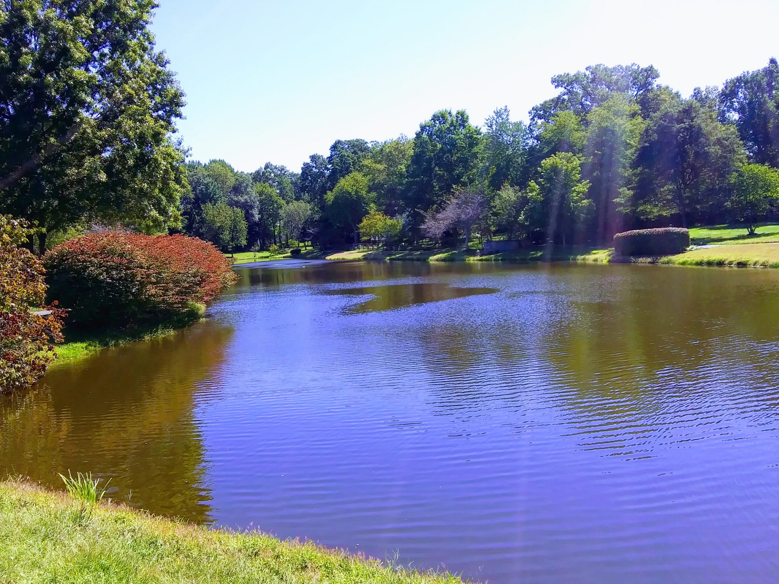 Small Residential Pond